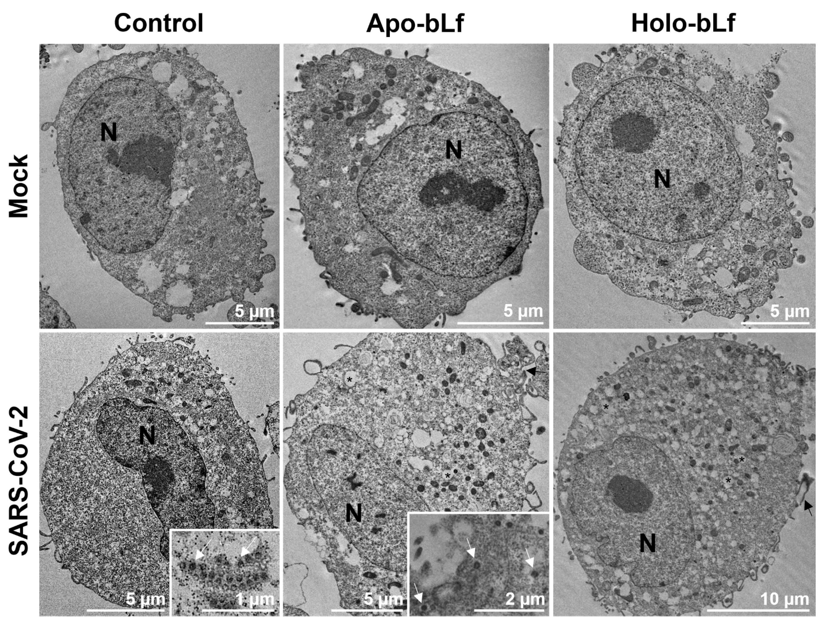 Pharmaceuticals 16 01352 g003