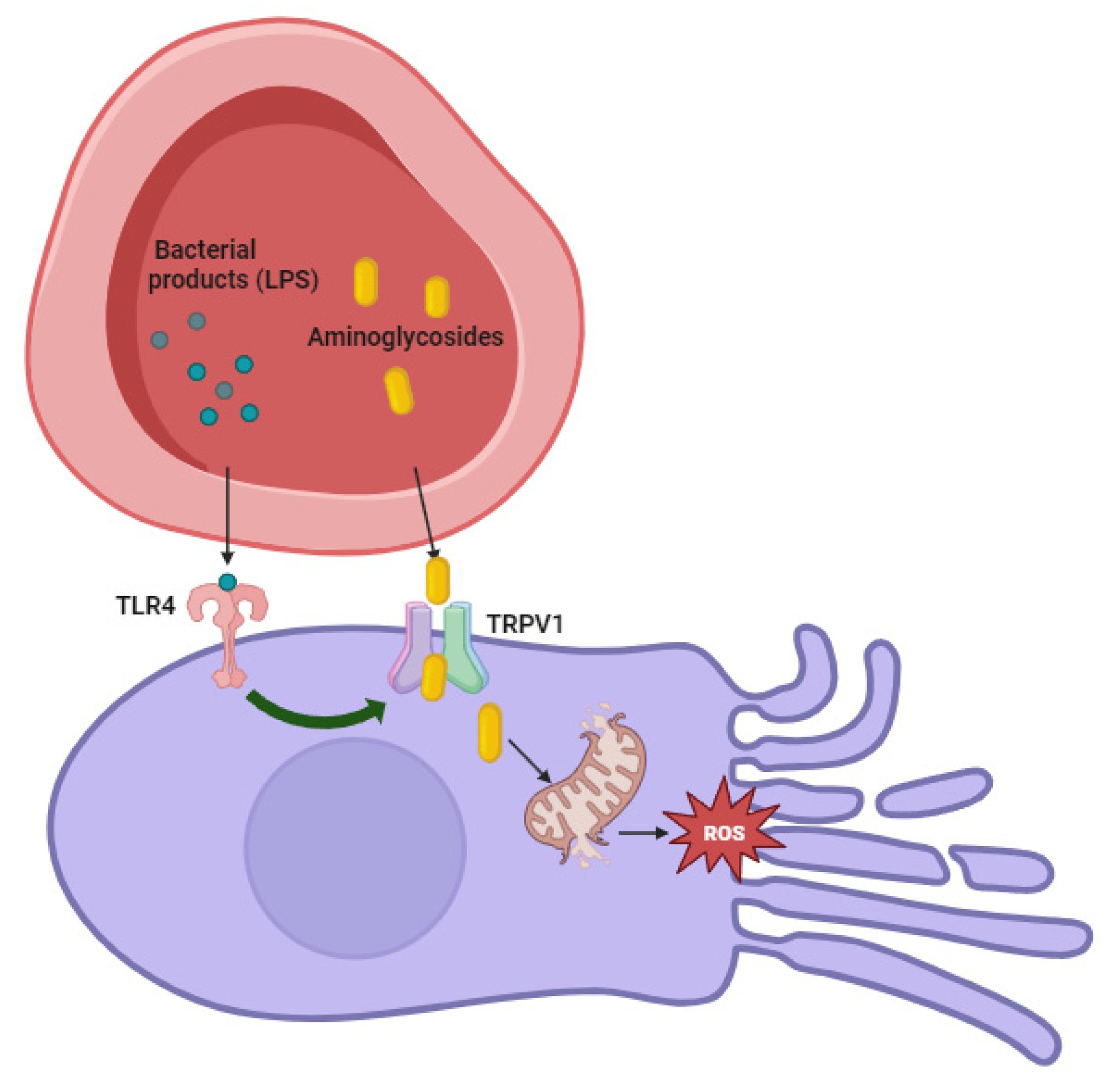 Pharmaceuticals 16 01353 g002 Pharmaceuticals 16 01353 g002