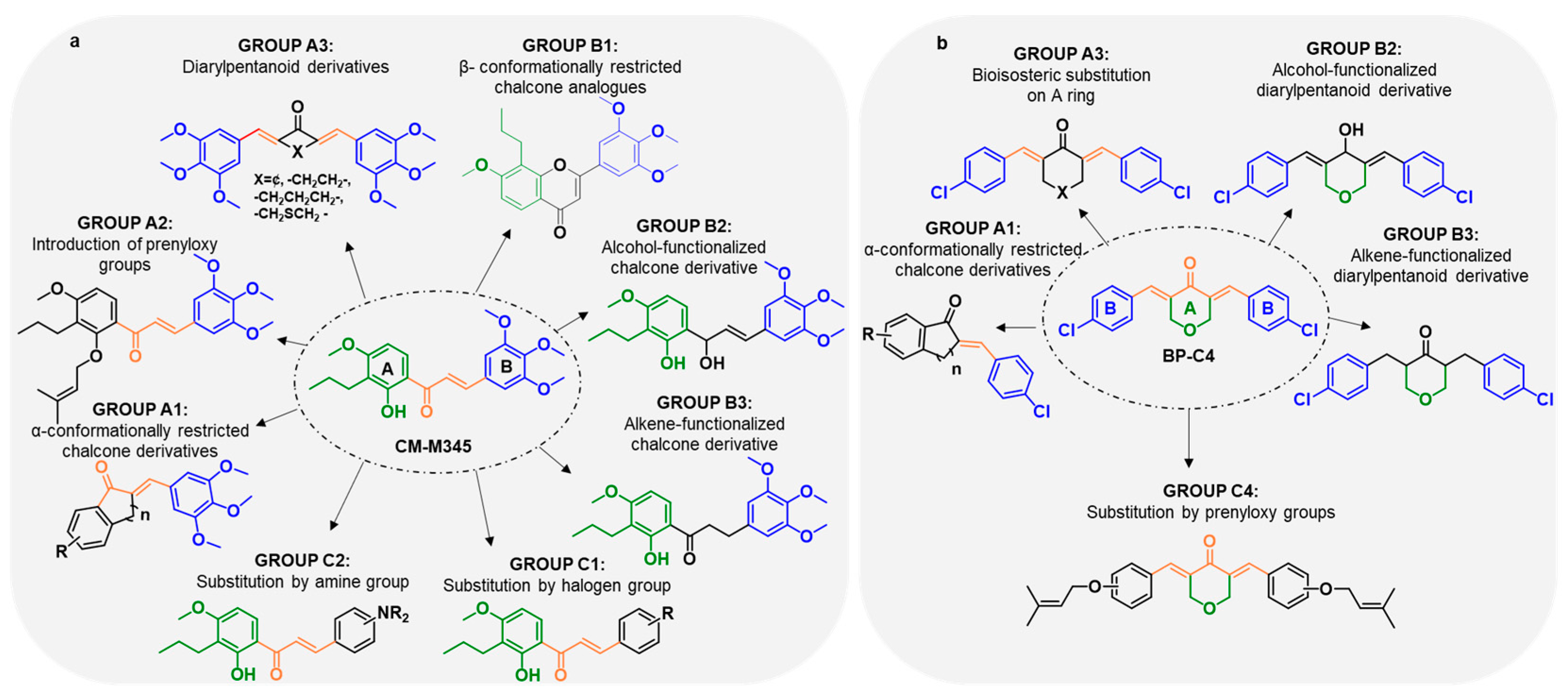 Pharmaceuticals 16 01354 g002