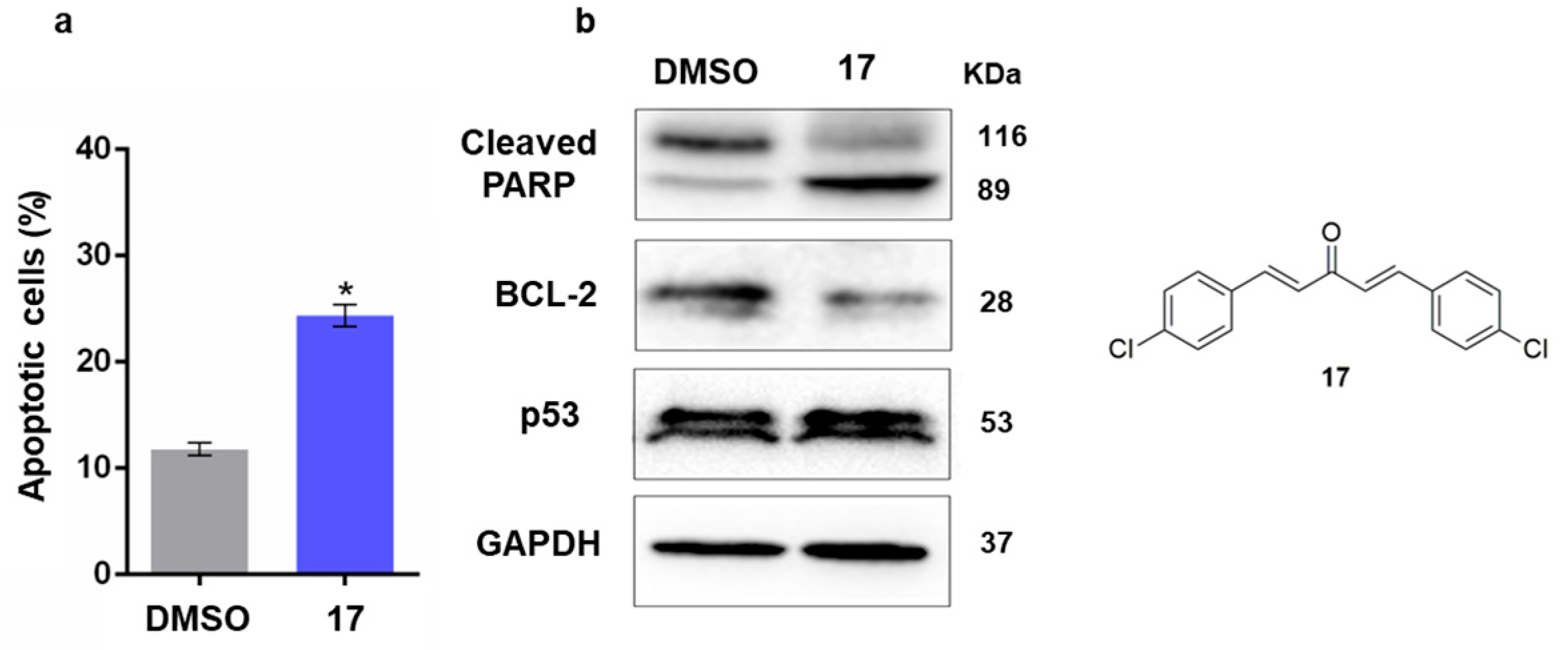 Pharmaceuticals 16 01354 g005