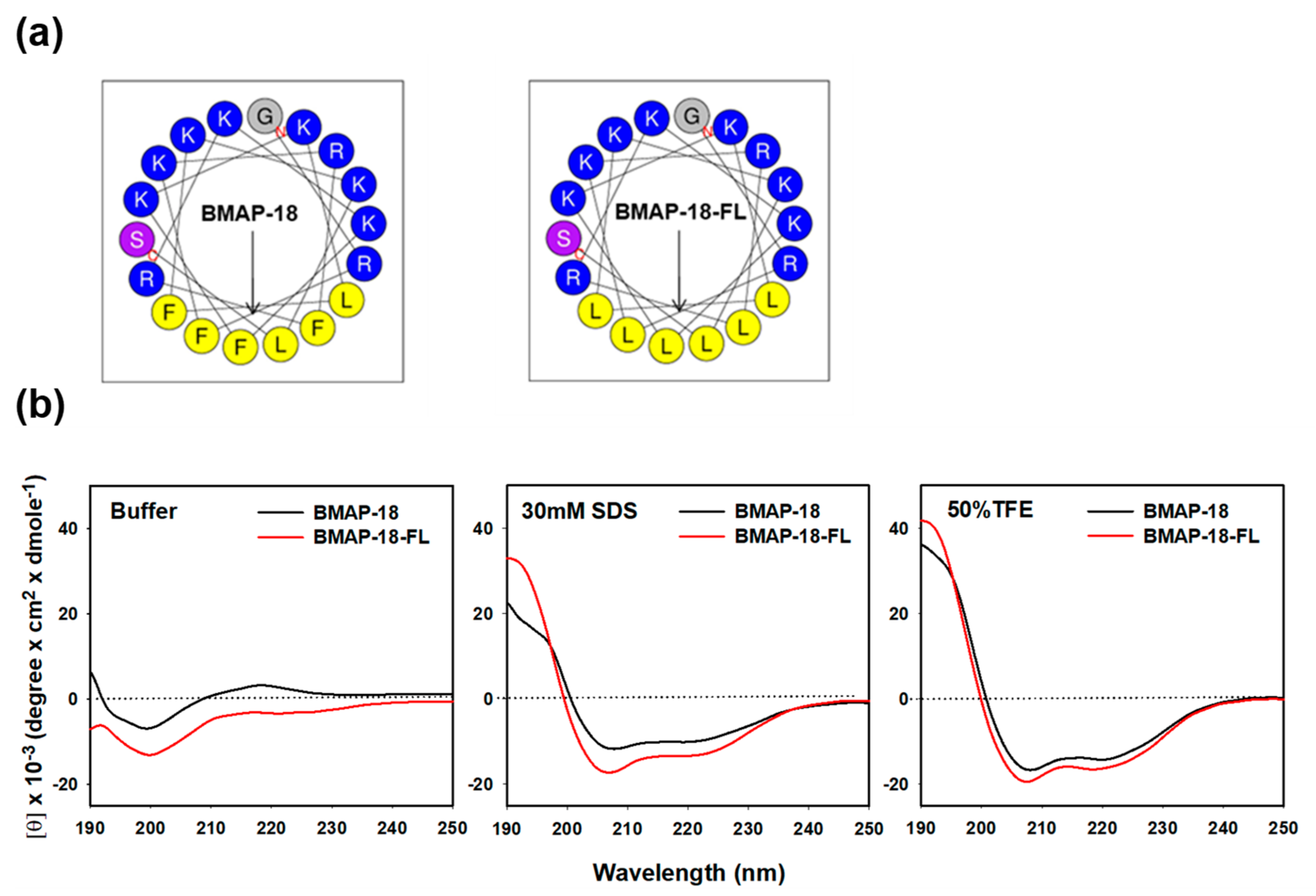 Pharmaceuticals 16 01356 g001