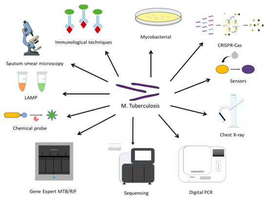 Anti-tuberculosis site-specific oral delivery system that enhances  rifampicin bioavailability in a fixed-dose combination with isoniazid