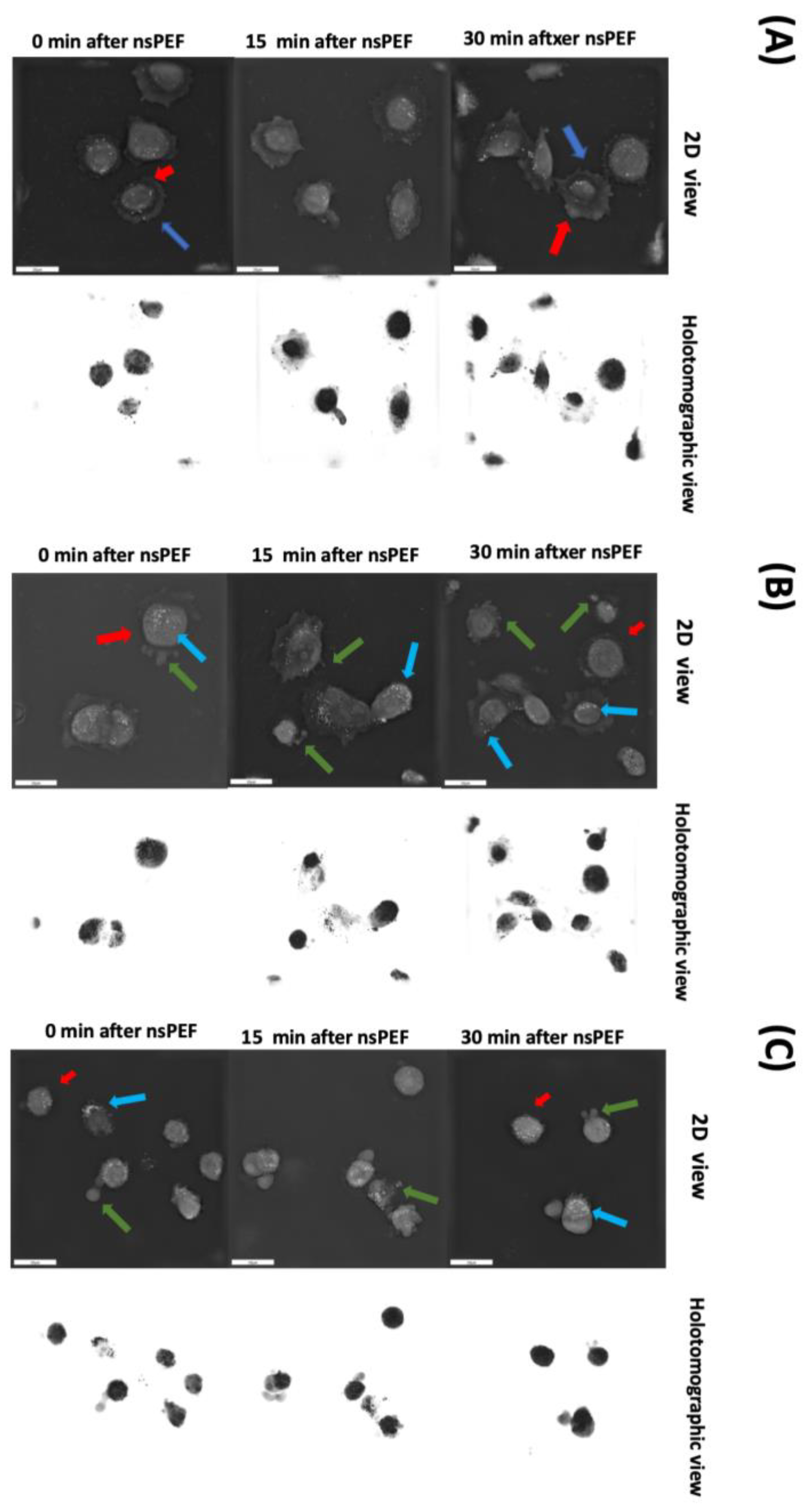 Pharmaceuticals 16 01362 g006