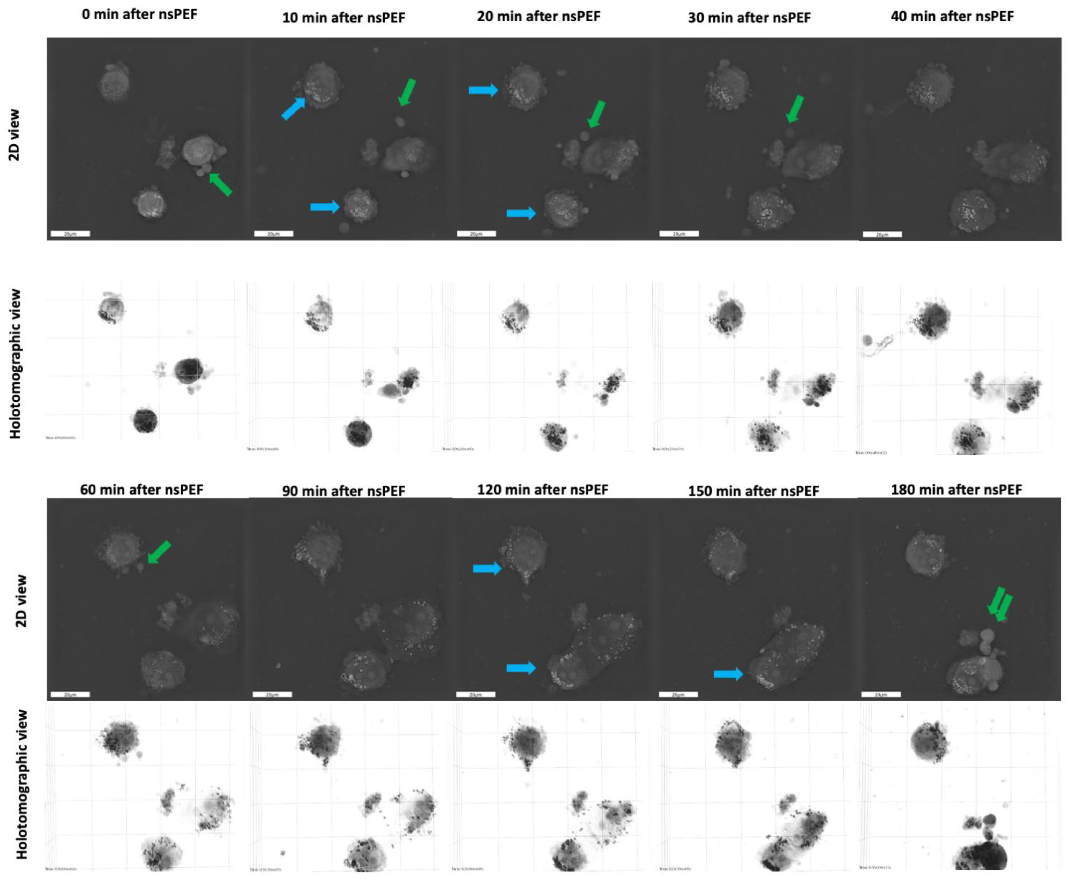 Pharmaceuticals 16 01362 g008