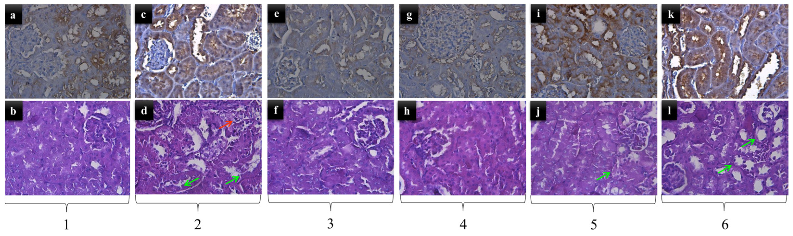 Pharmaceuticals 16 01365 g001