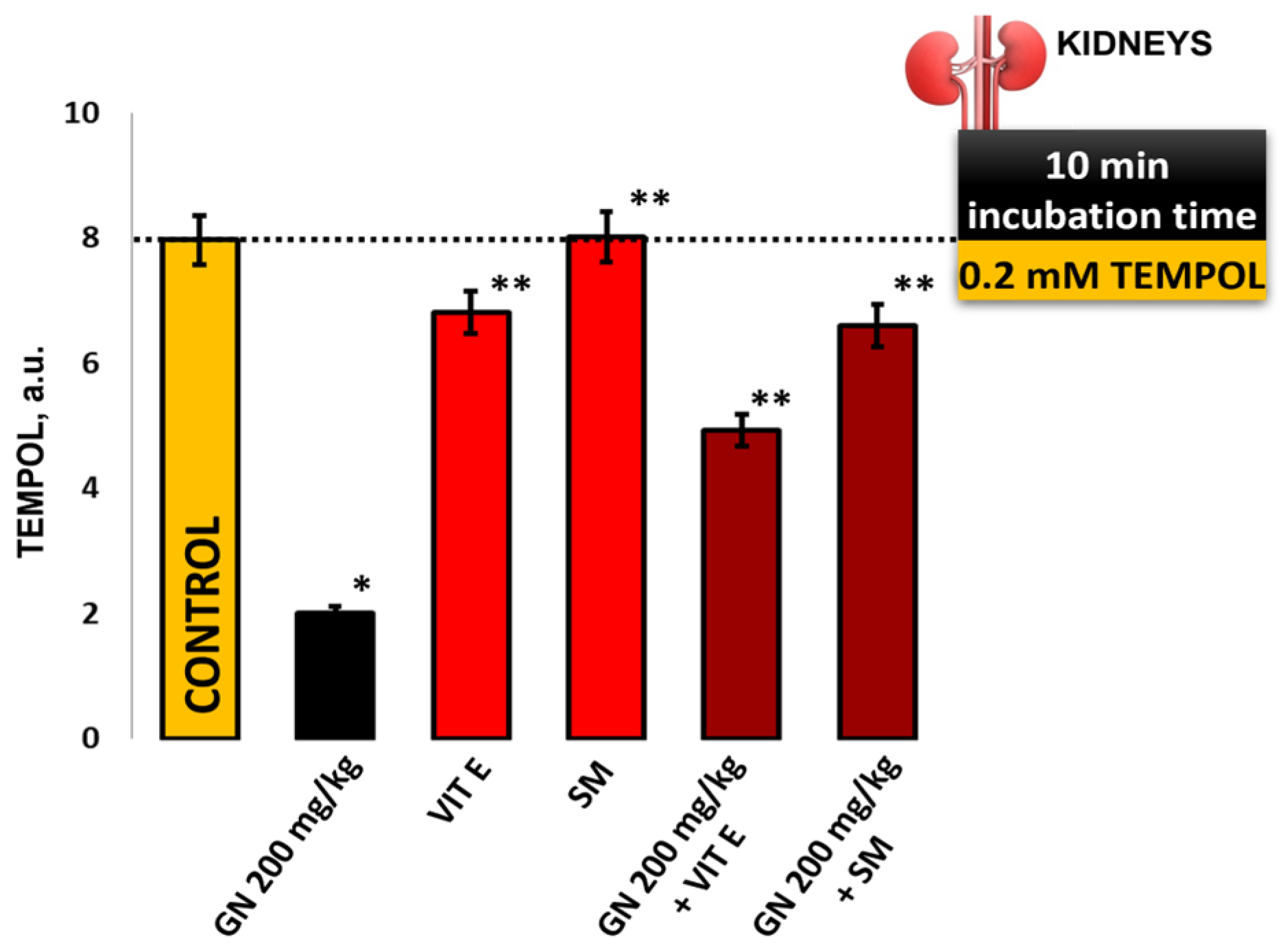Pharmaceuticals 16 01365 g009
