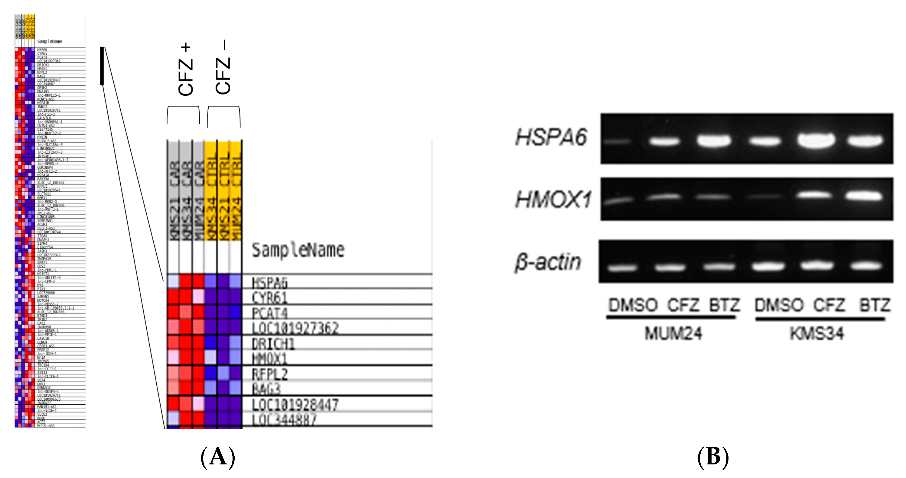 Pharmaceuticals 16 01367 g005 Pharmaceuticals 16 01367 g005