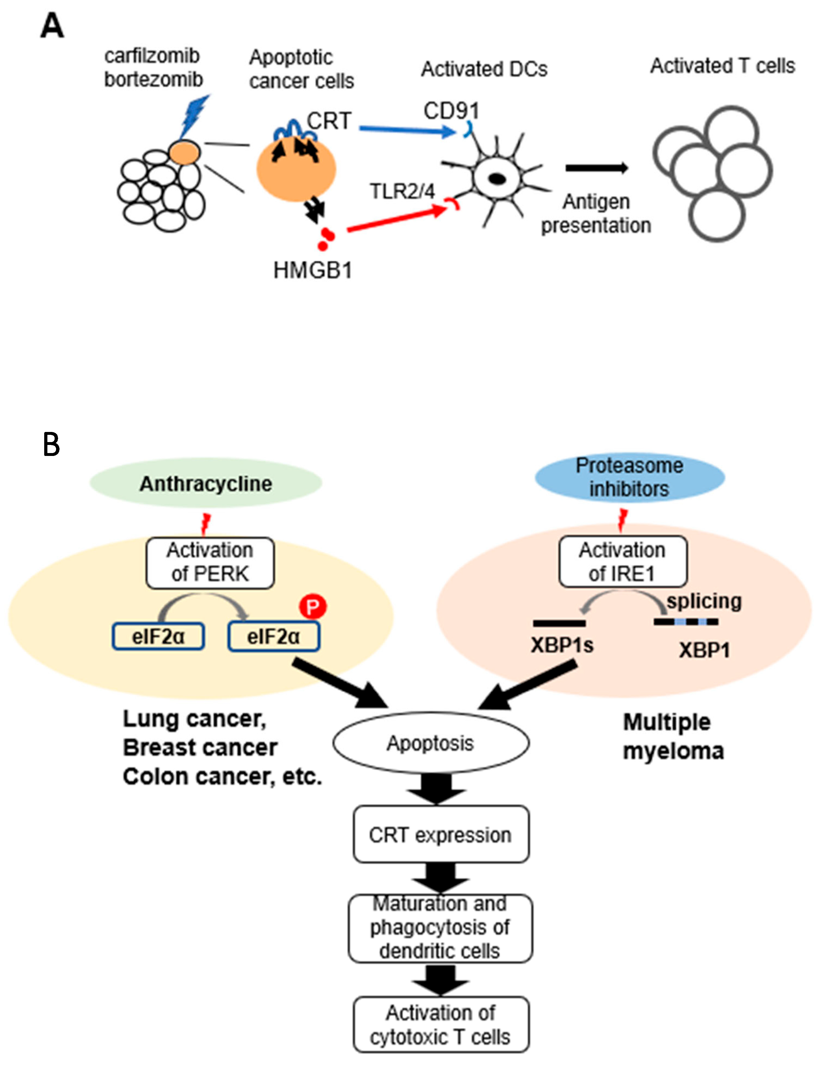 Pharmaceuticals 16 01367 g007 Pharmaceuticals 16 01367 g007