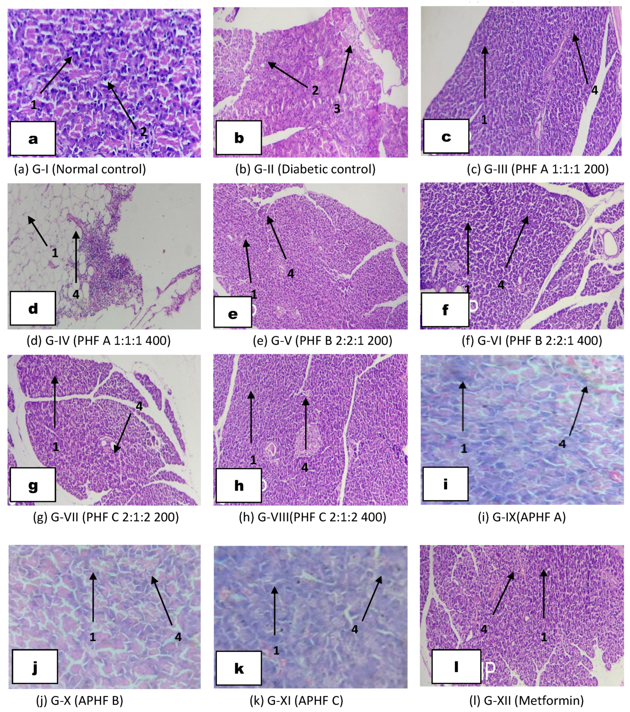 Pharmaceuticals 16 01368 g009