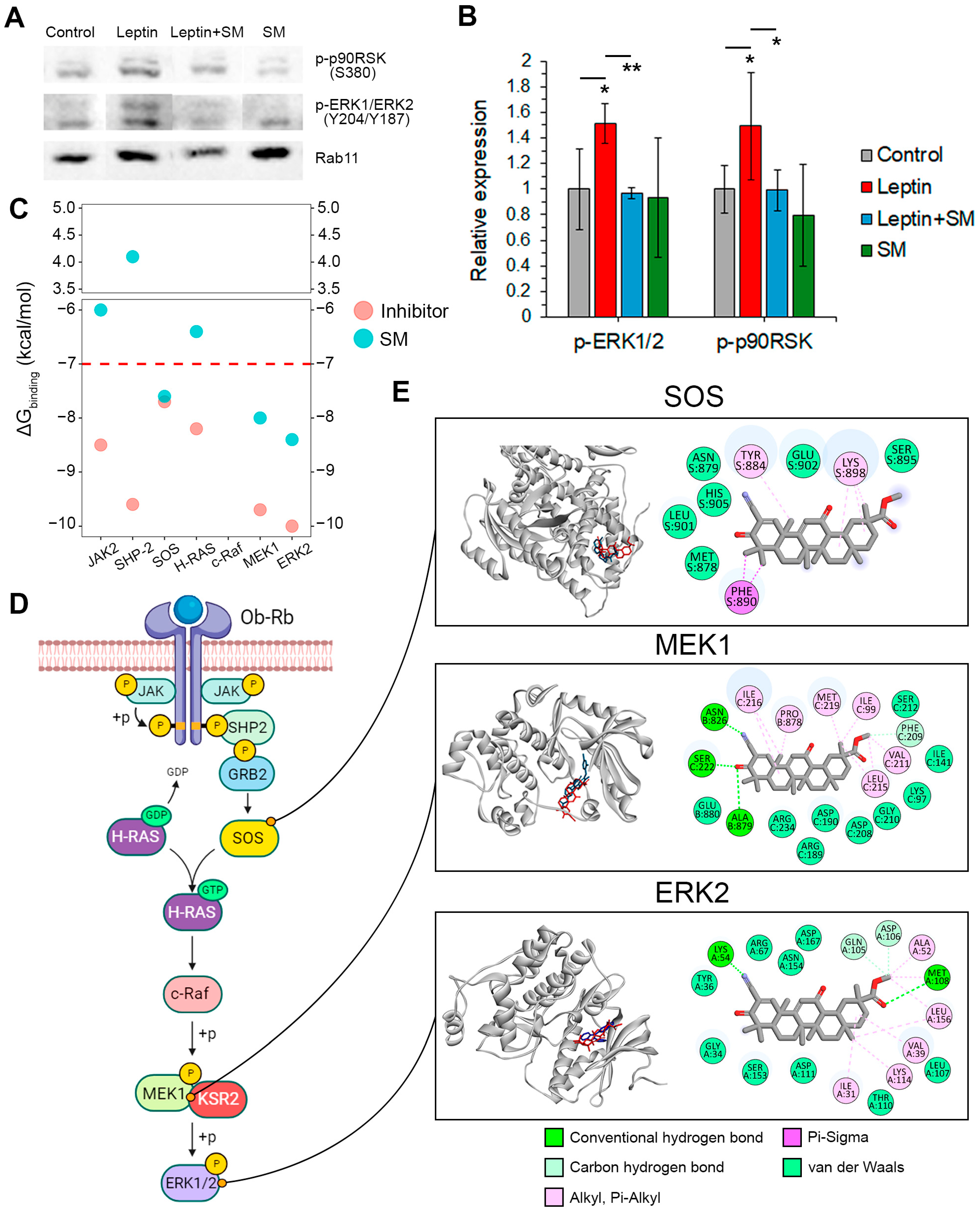 Pharmaceuticals 16 01369 g005