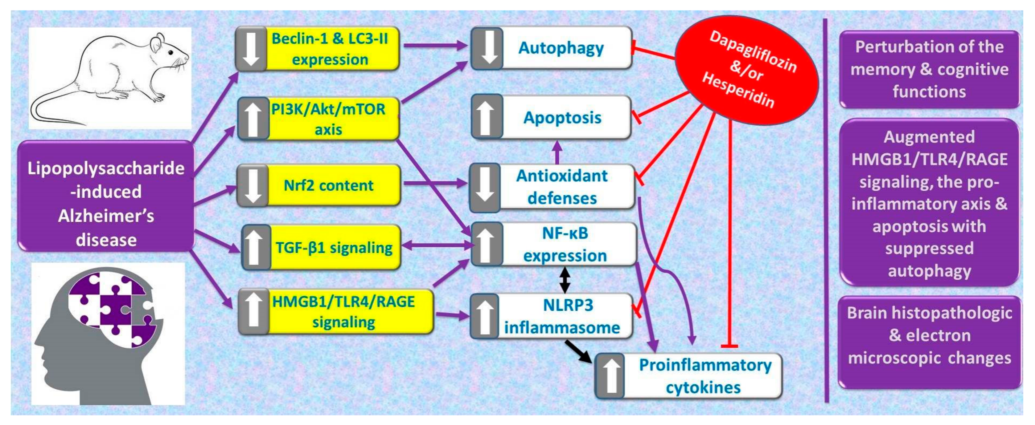 Pharmaceuticals 16 01370 g016