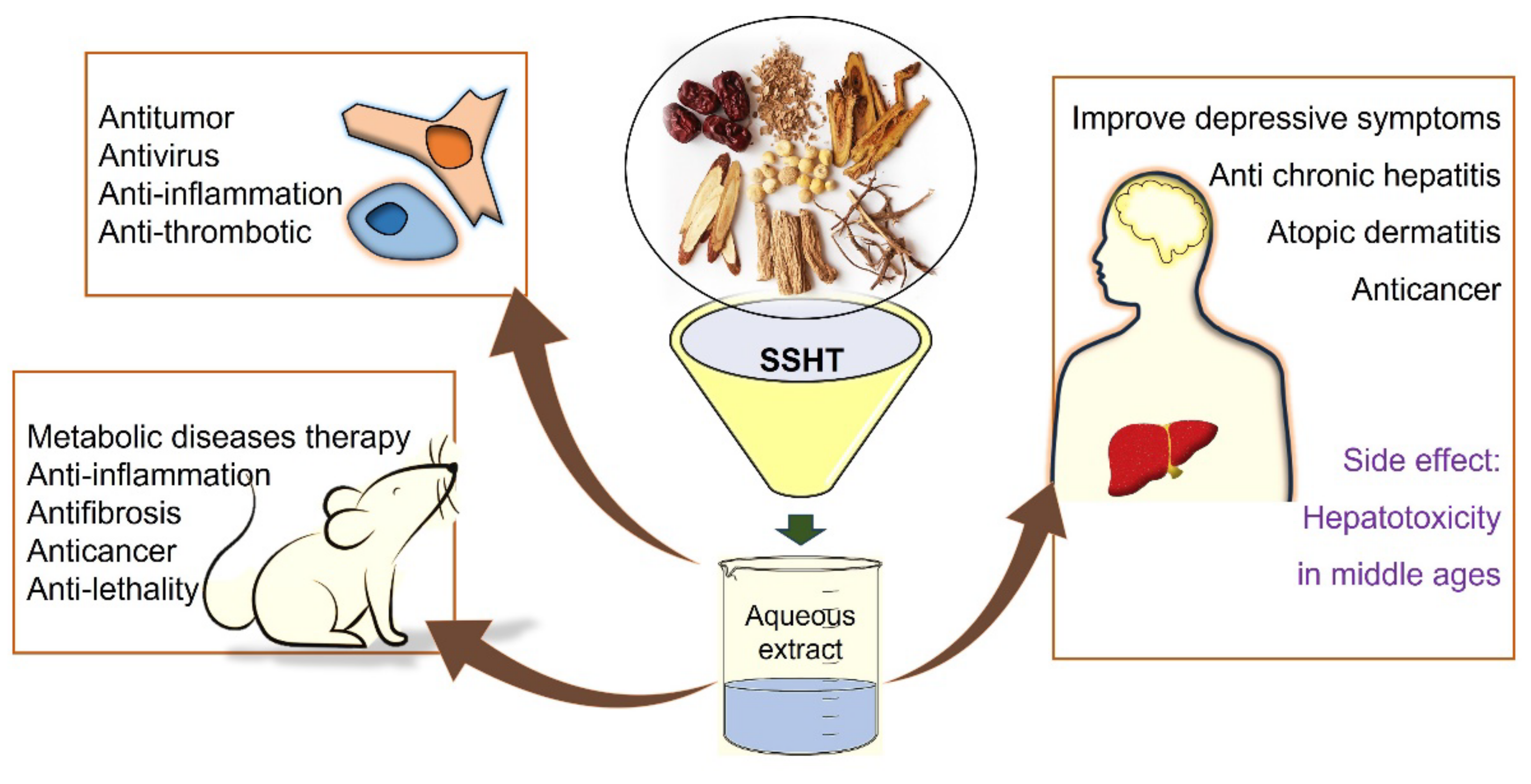 Pharmaceuticals 16 01371 g003