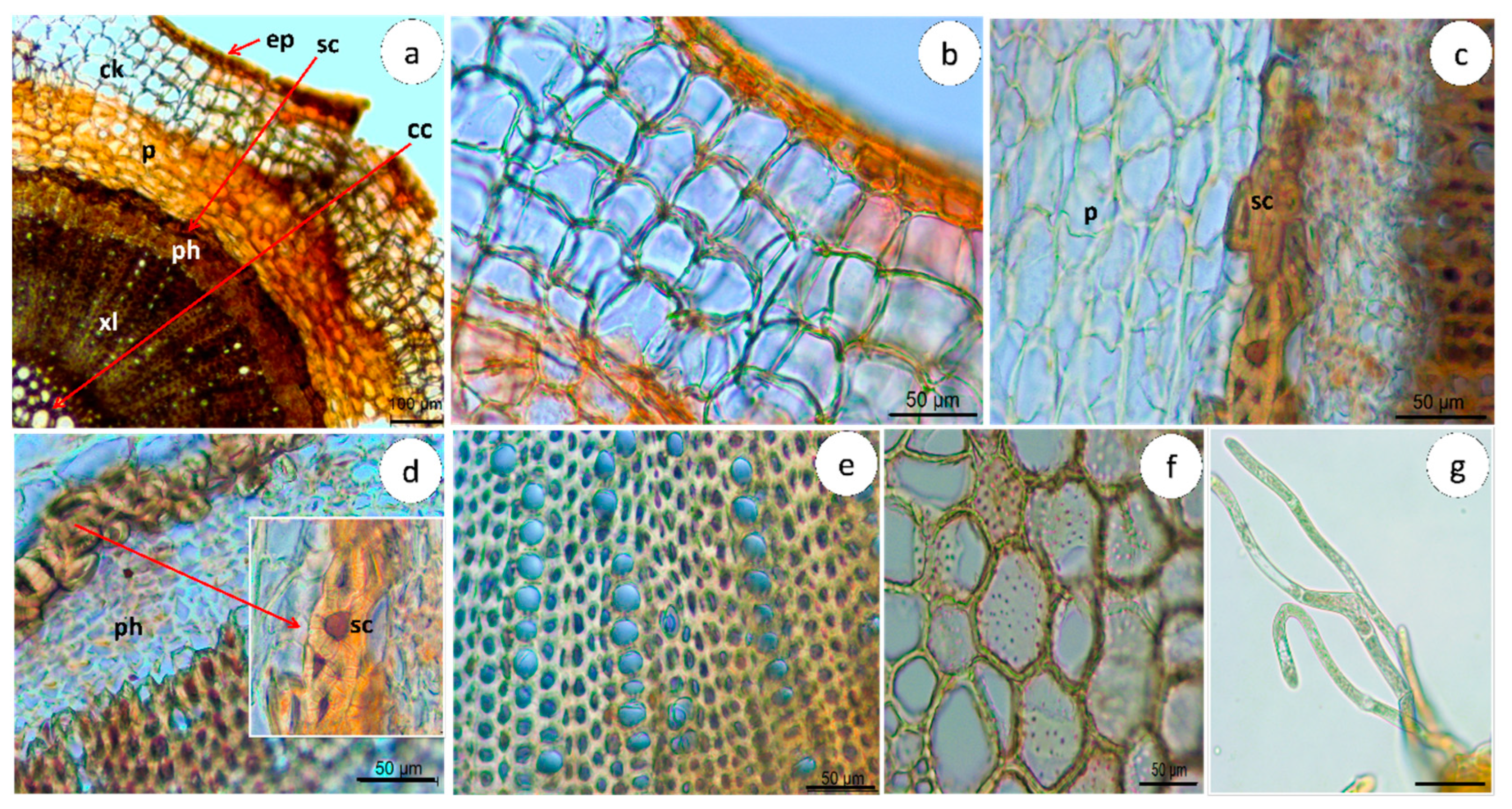 Pharmaceuticals 16 01373 g003