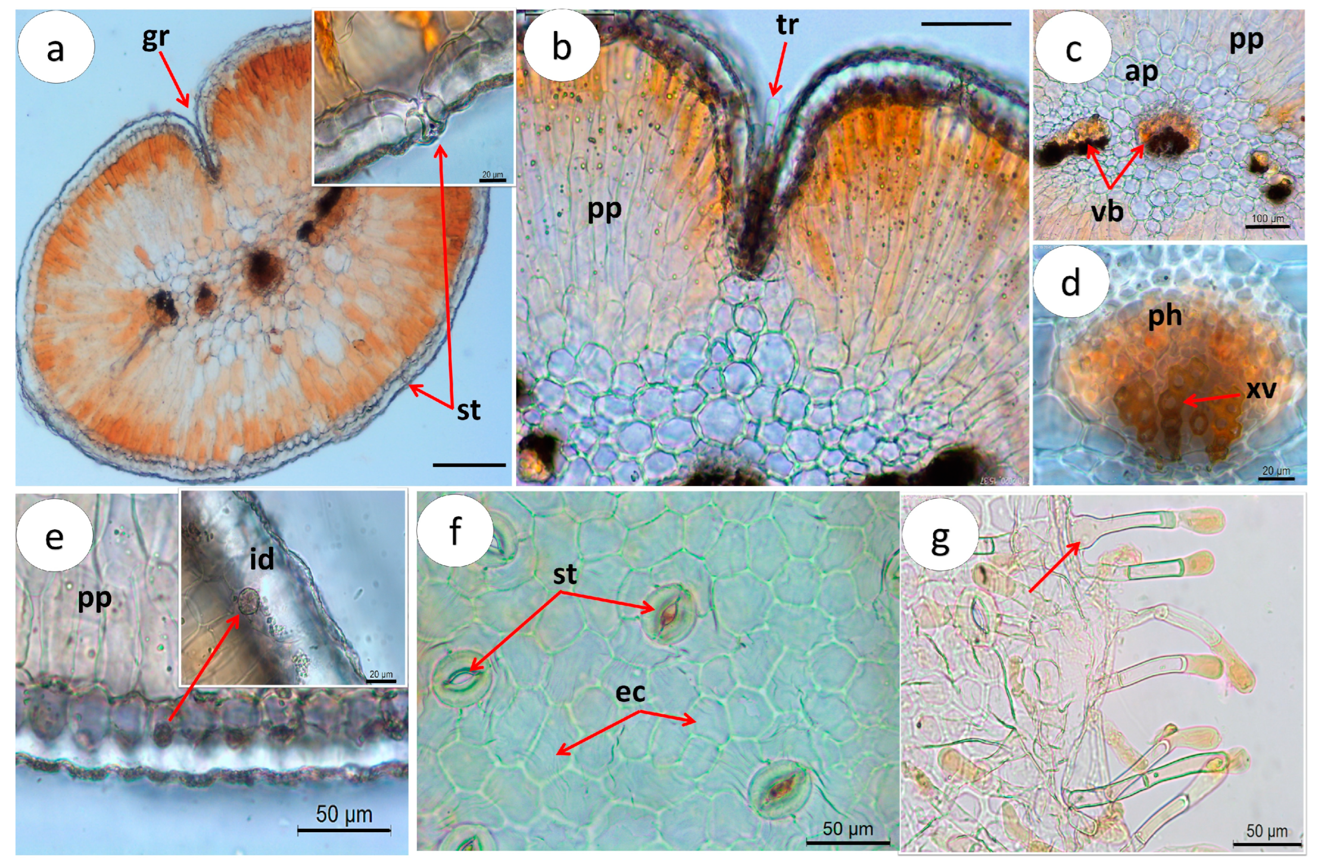 Pharmaceuticals 16 01373 g004