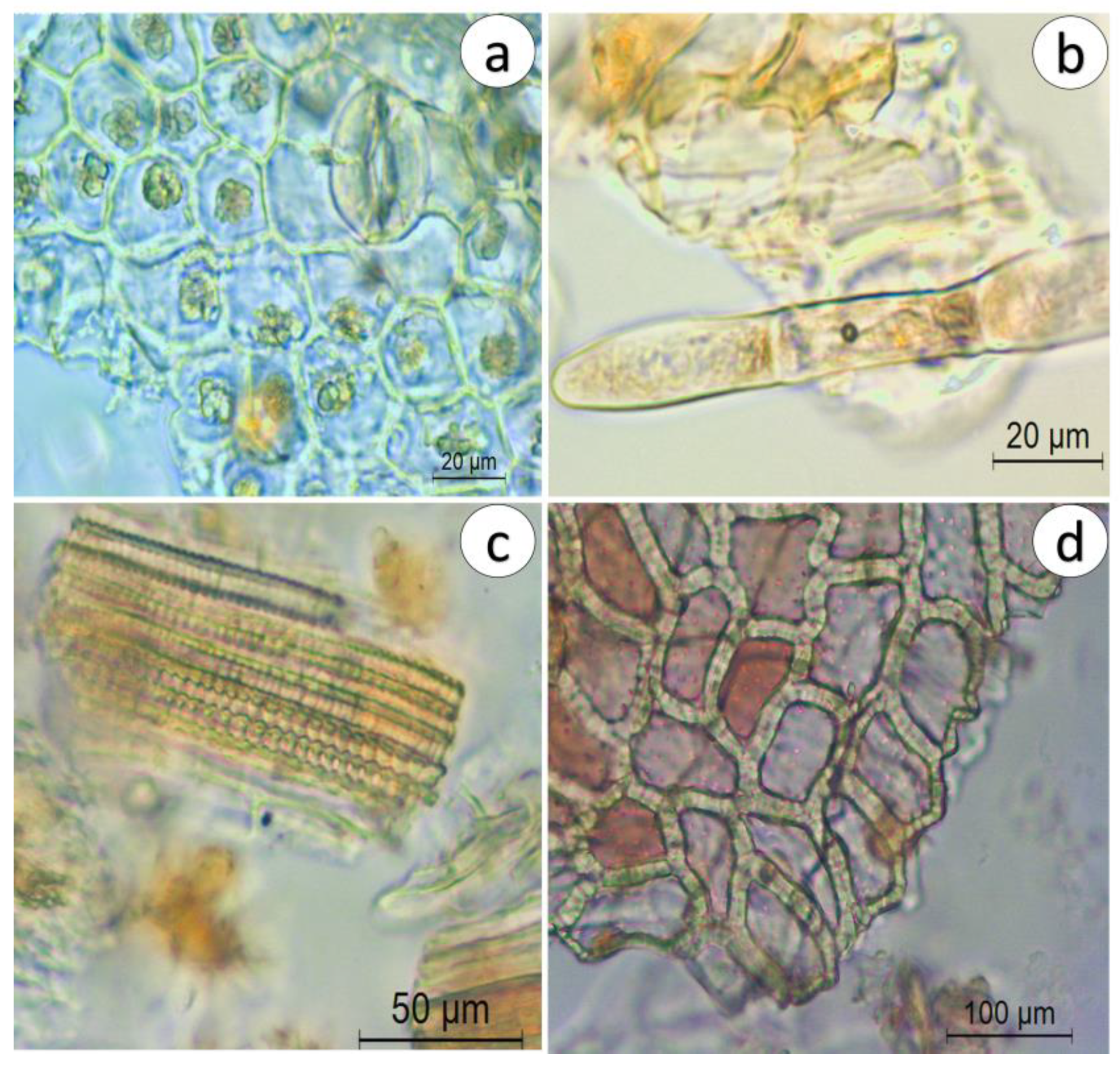 Pharmaceuticals 16 01373 g005