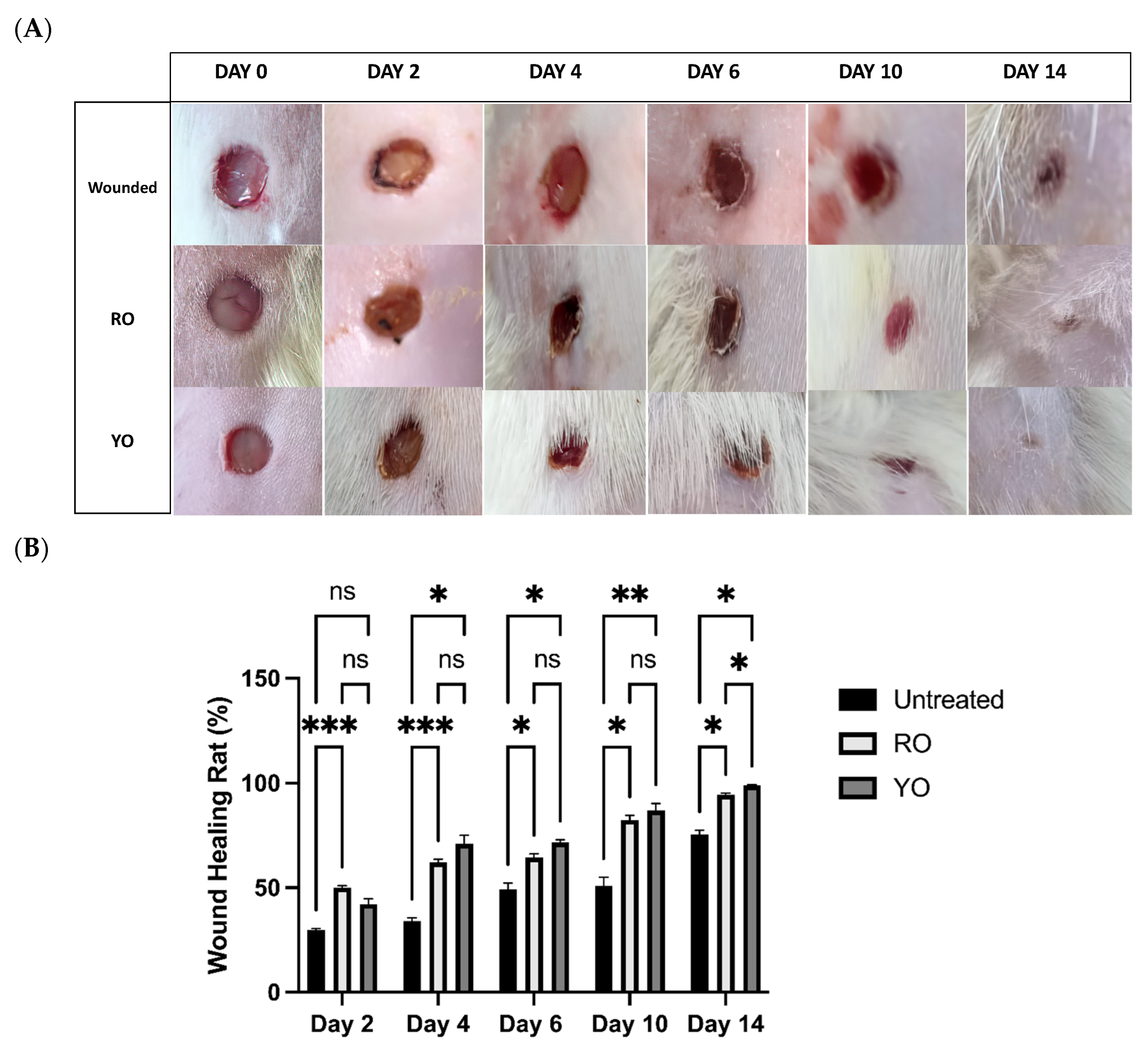 Pharmaceuticals 16 01379 g005