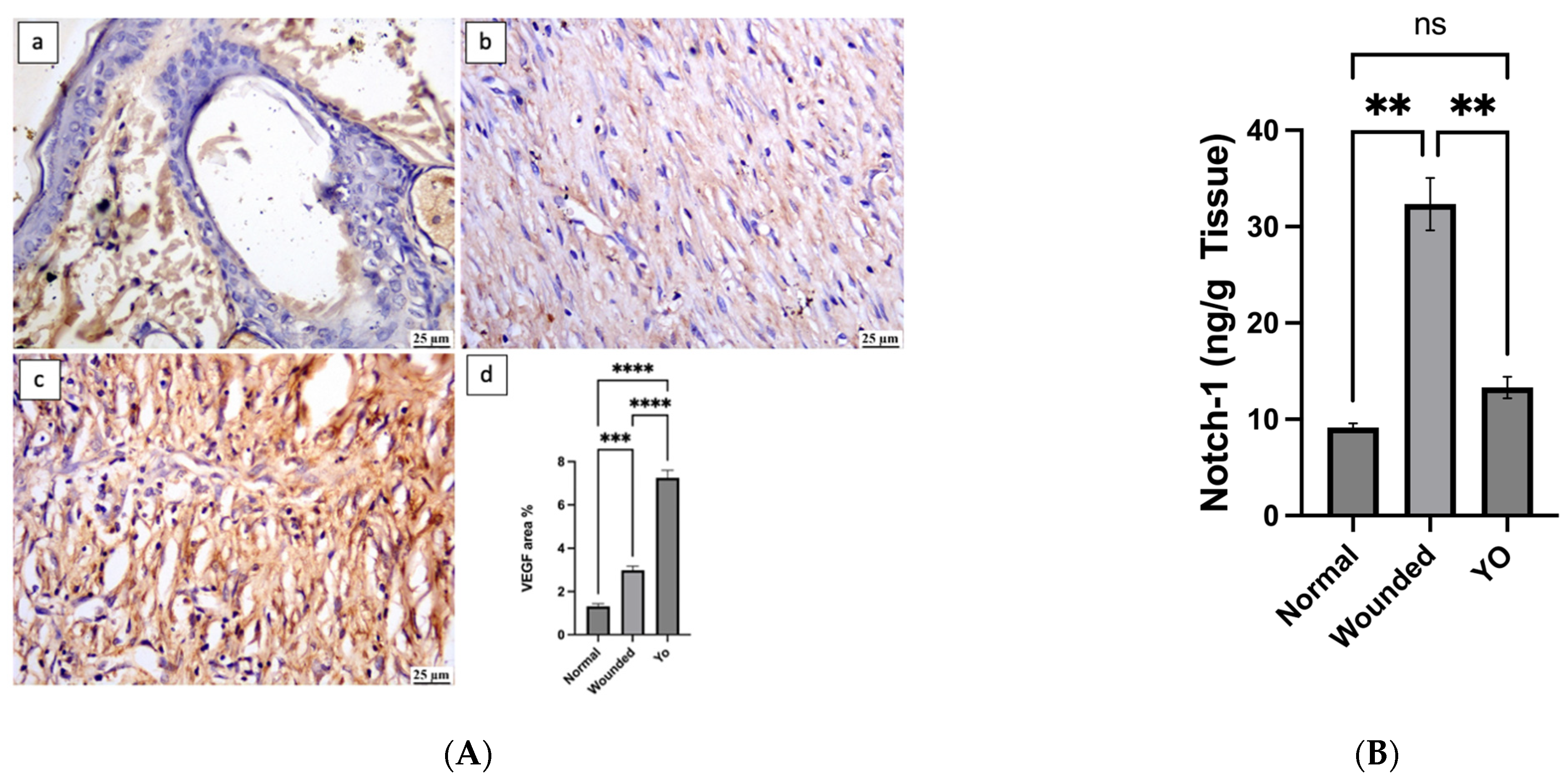 Pharmaceuticals 16 01379 g011