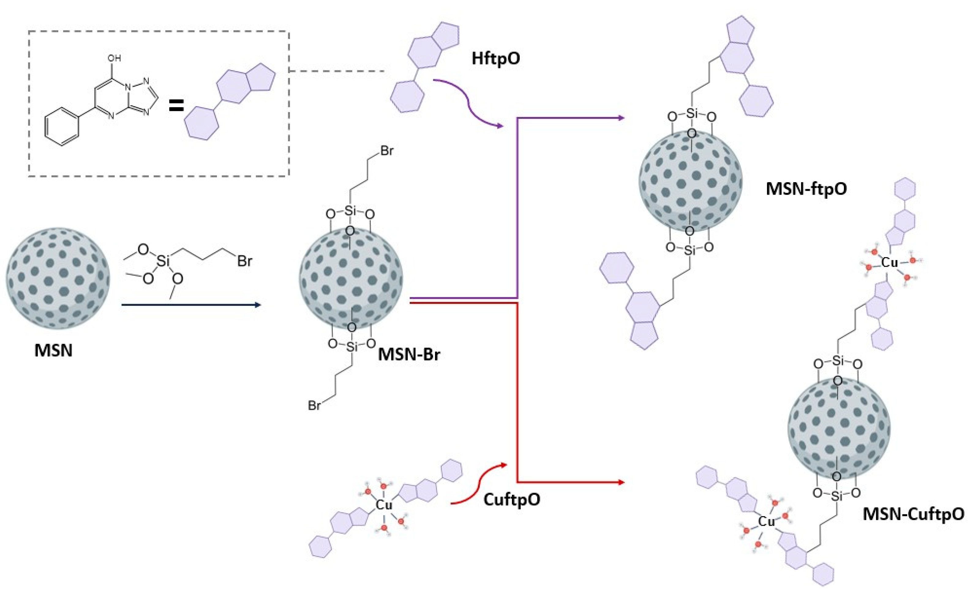 Pharmaceuticals 16 01380 sch002 Pharmaceuticals 16 01380 sch002
