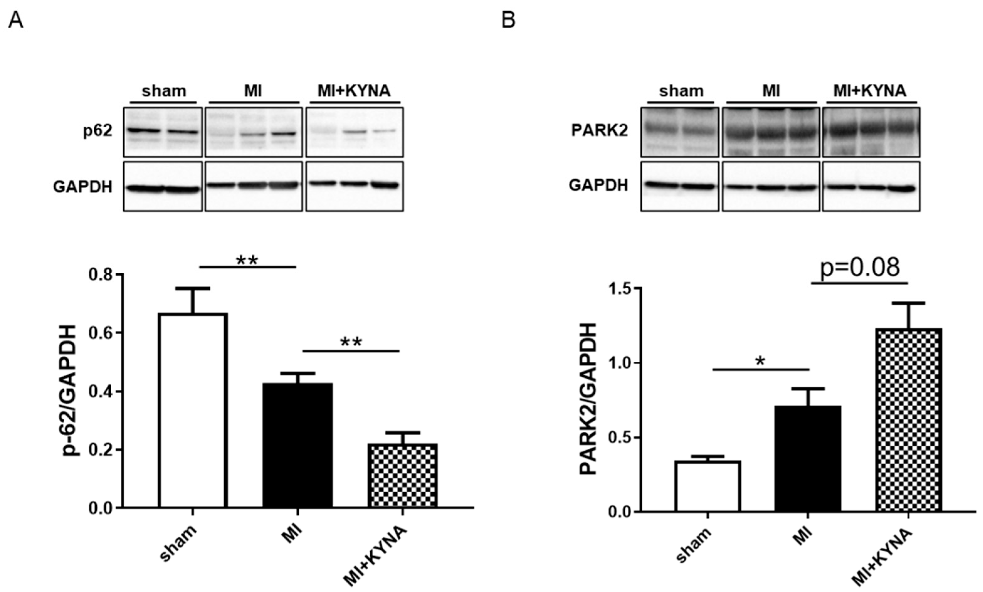 Pharmaceuticals 16 01381 g006
