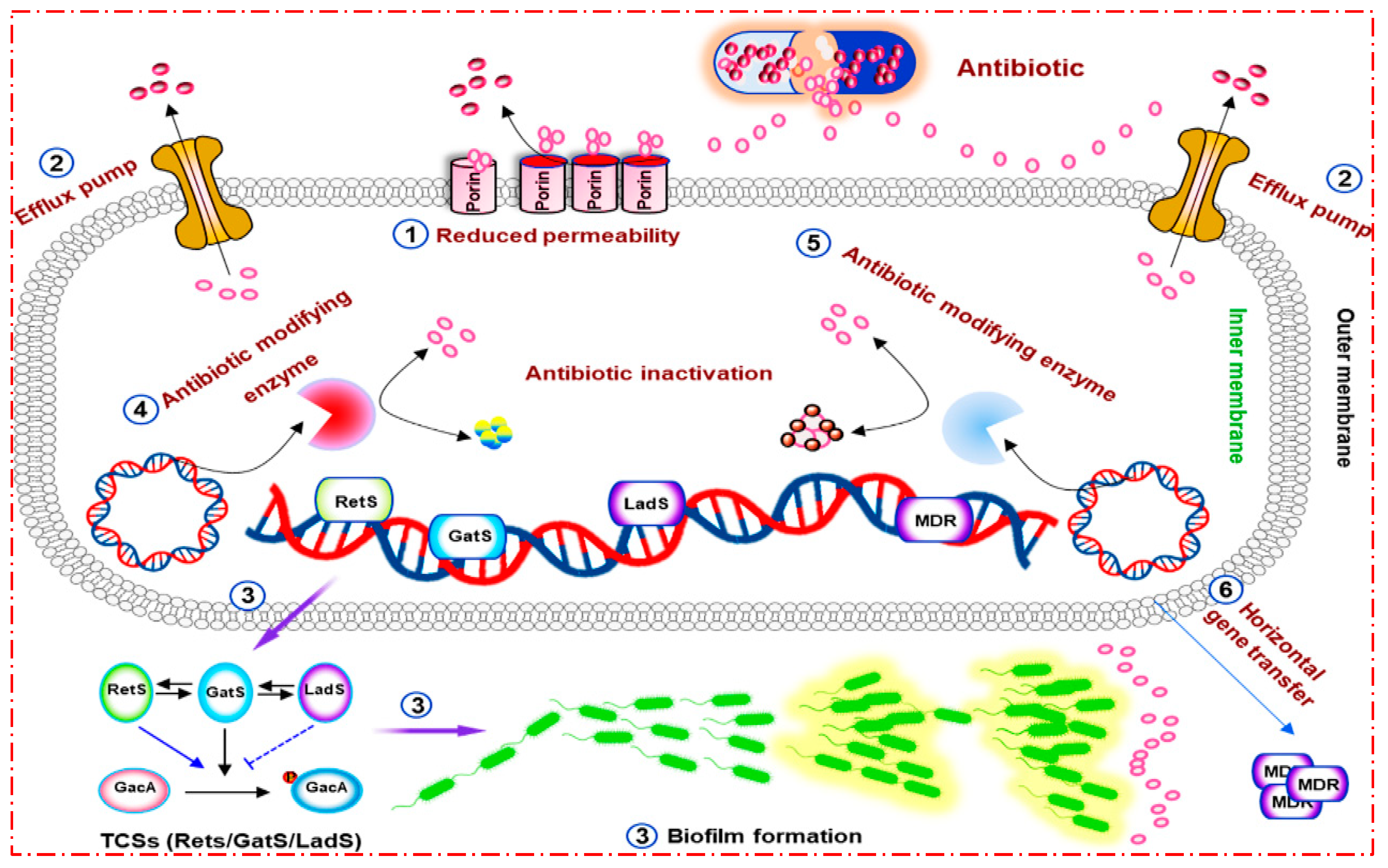 Pharmaceuticals 16 01383 g001