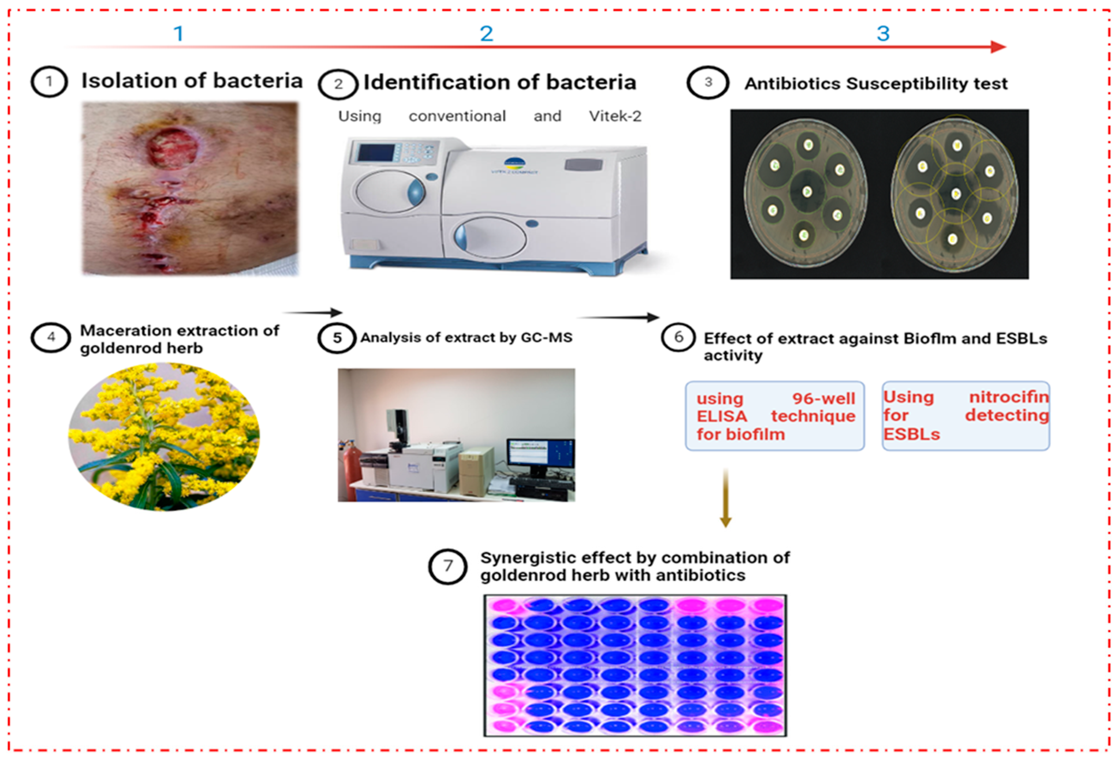 Pharmaceuticals 16 01383 g009