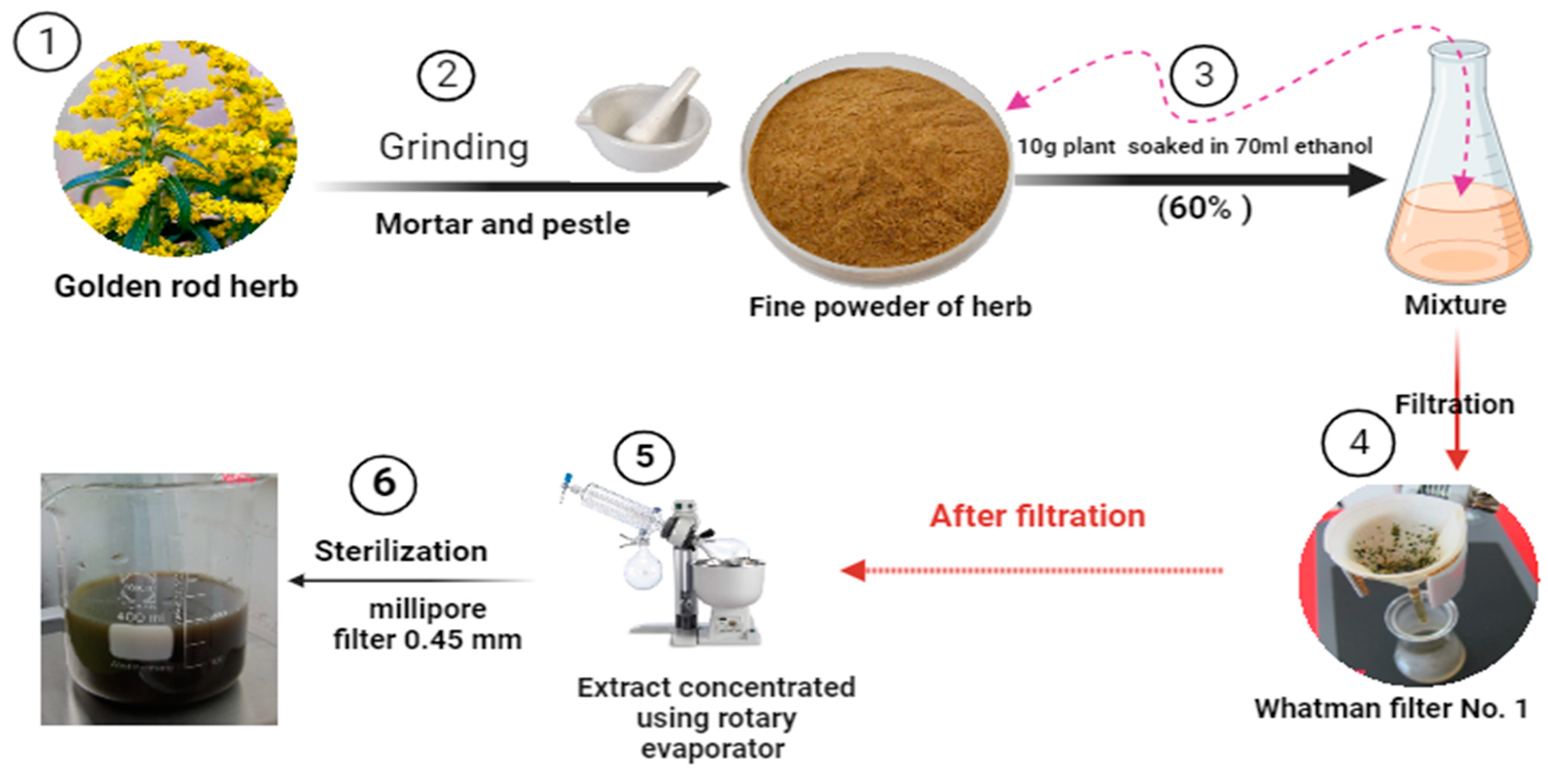 Pharmaceuticals 16 01383 g011