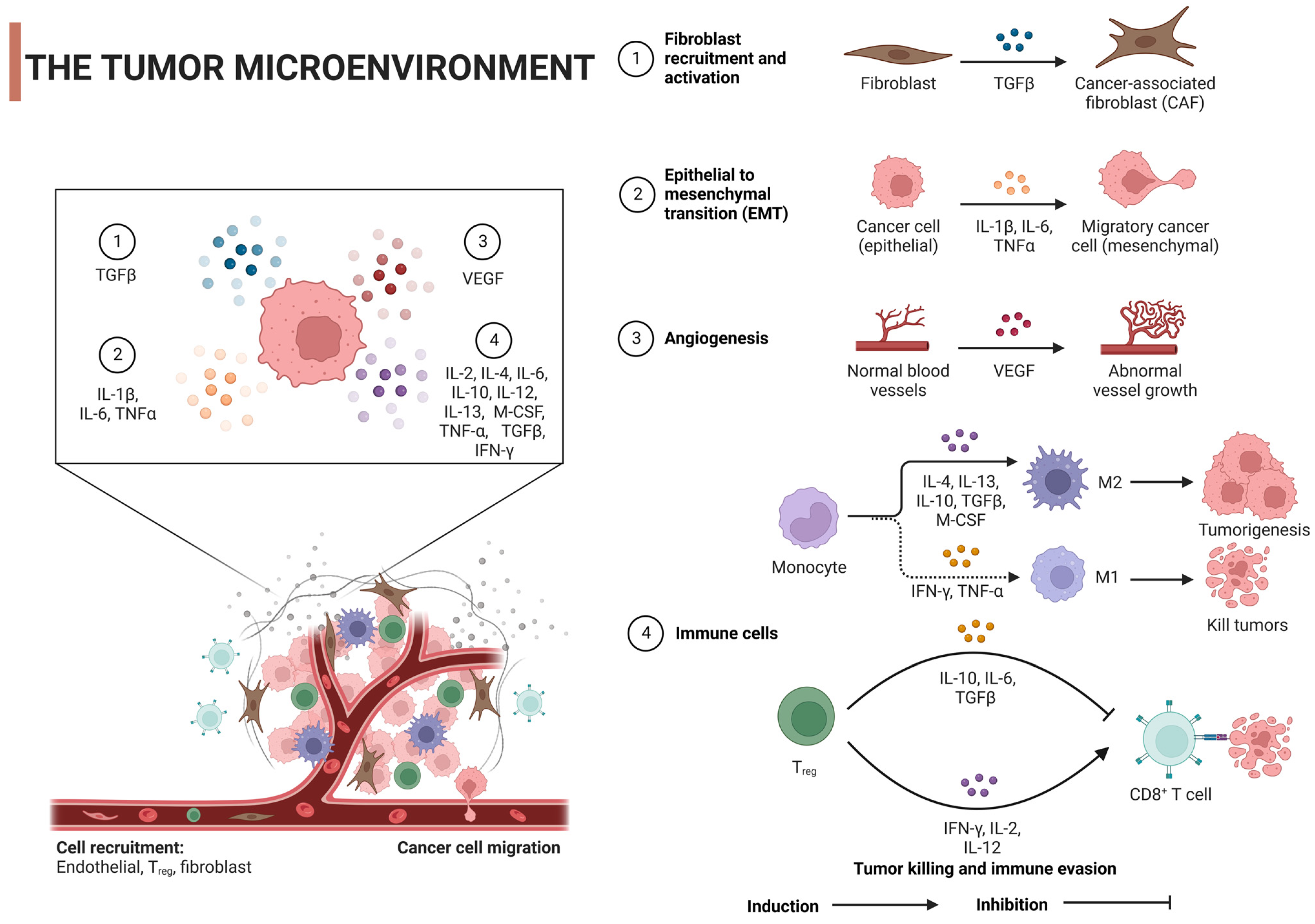 Pharmaceuticals 16 01384 g002 Pharmaceuticals 16 01384 g002