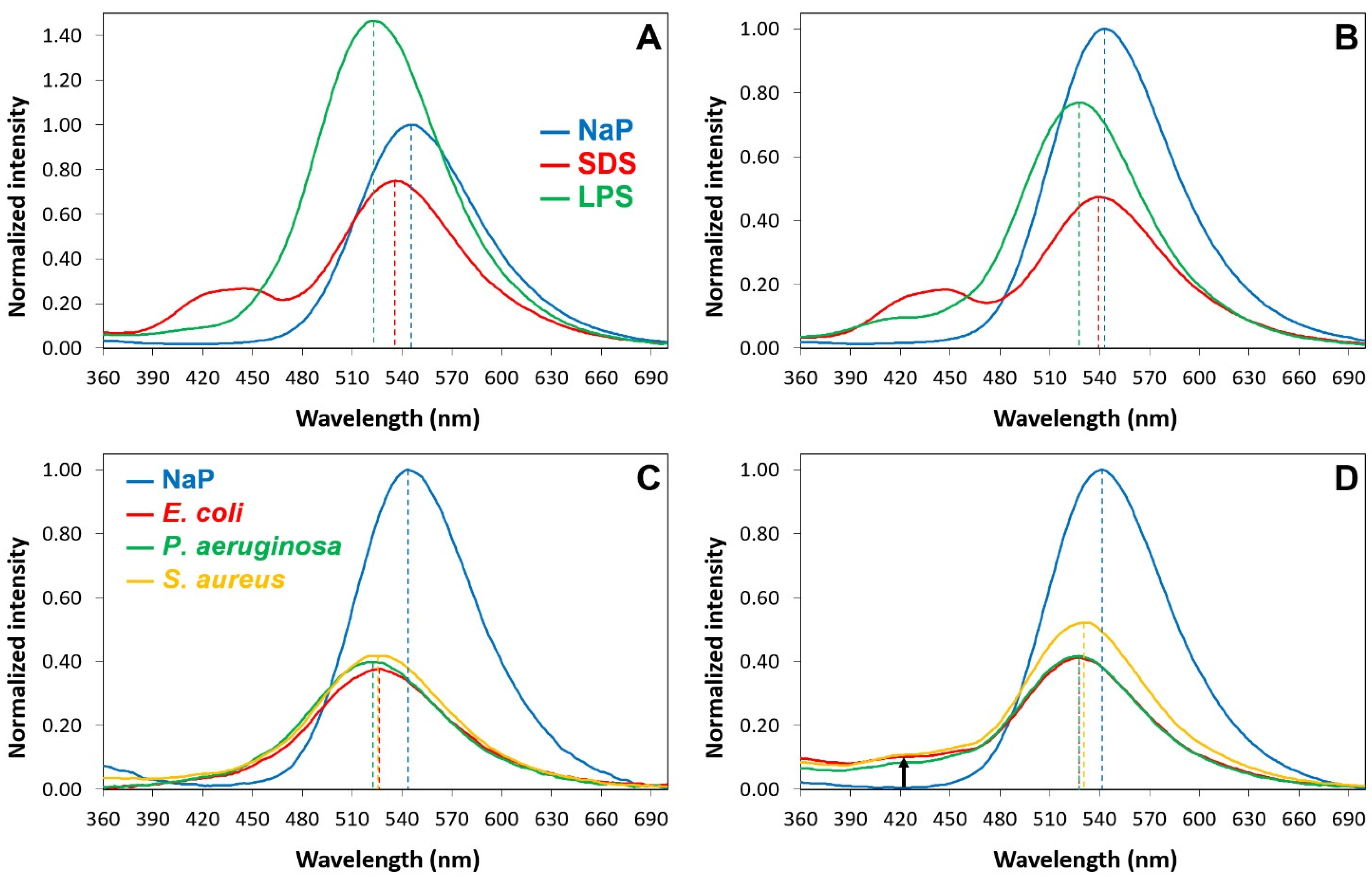 Pharmaceuticals 16 01386 g006