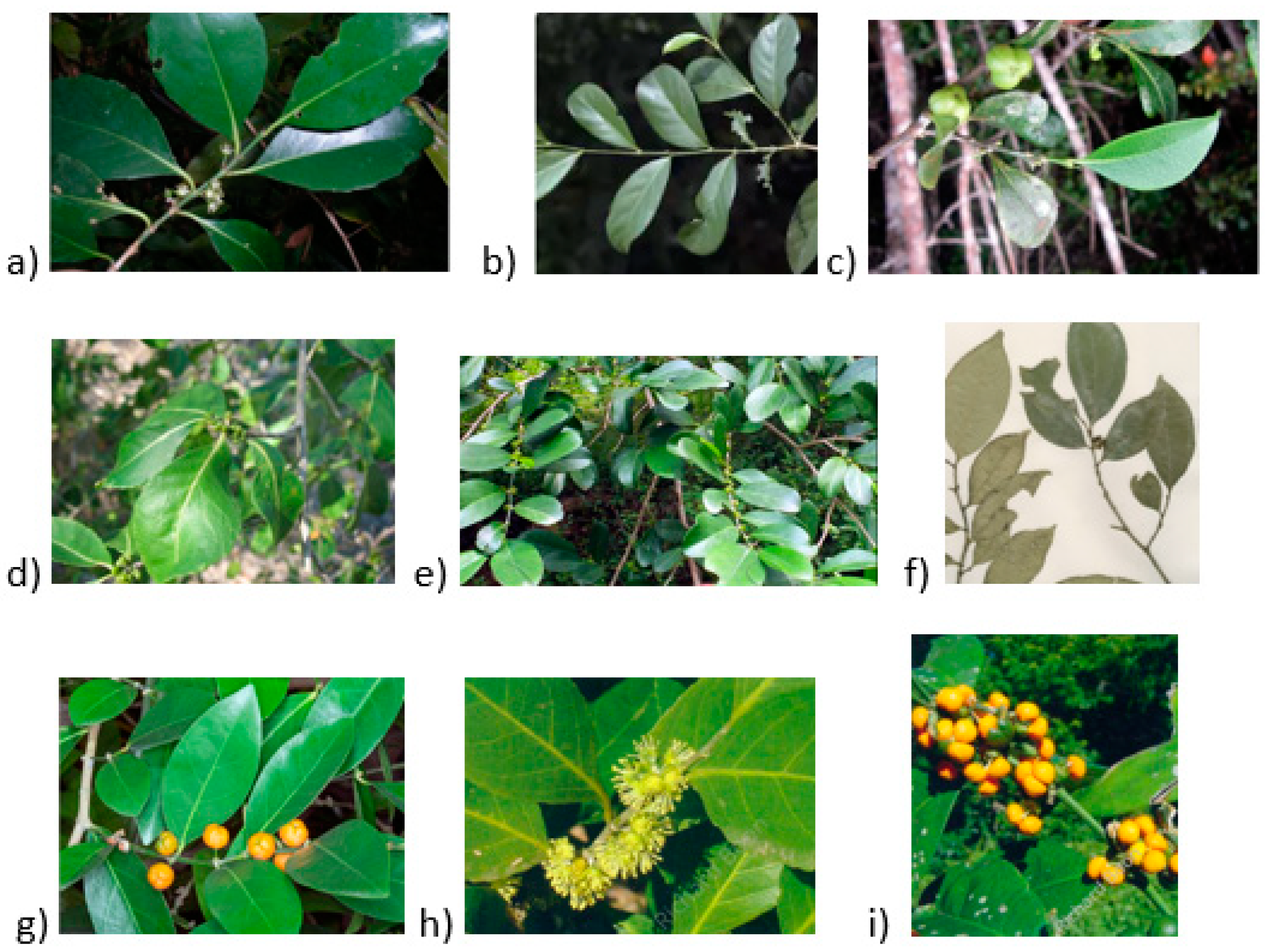 Pharmaceuticals 16 01390 g001