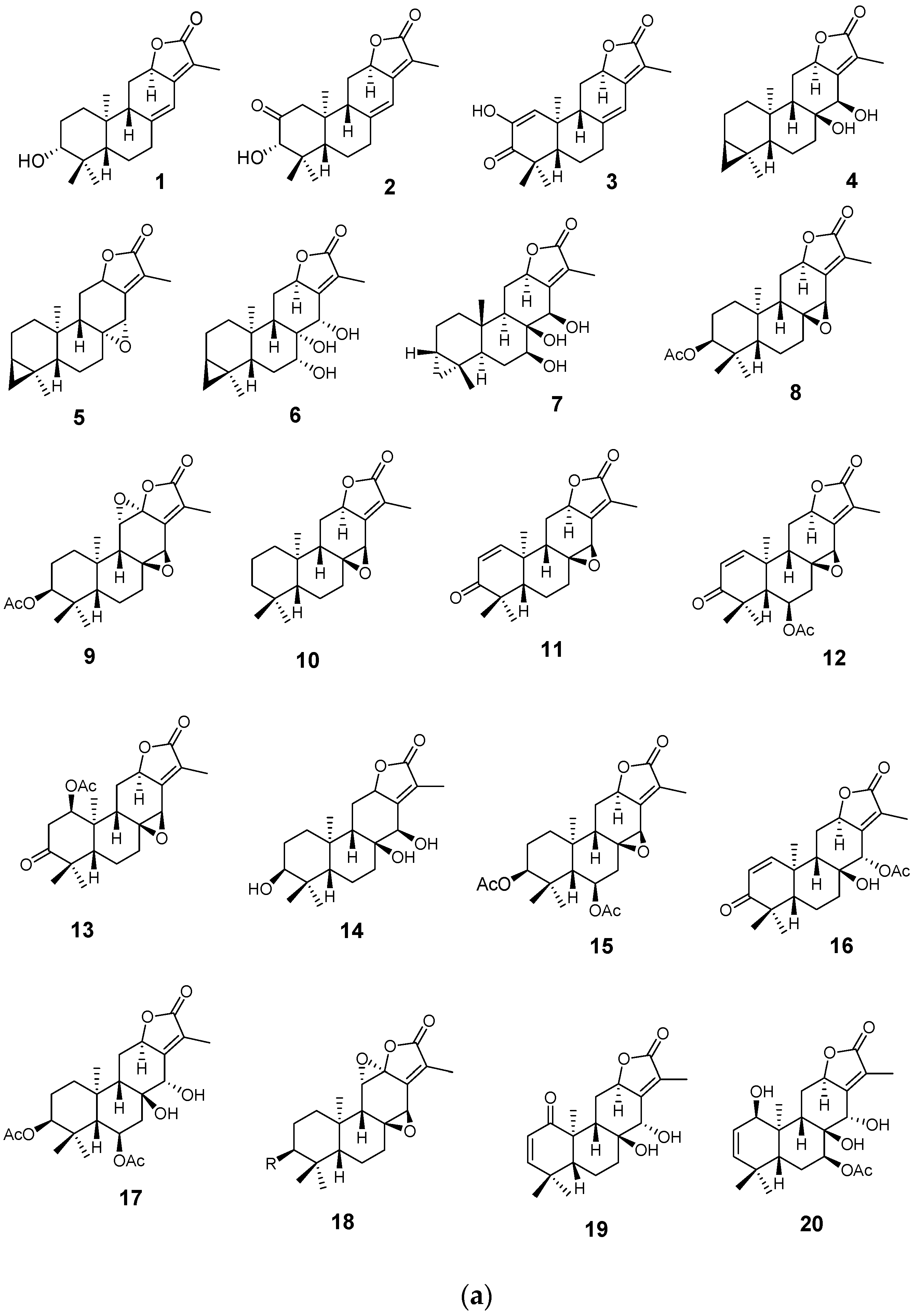 Pharmaceuticals 16 01390 g003a