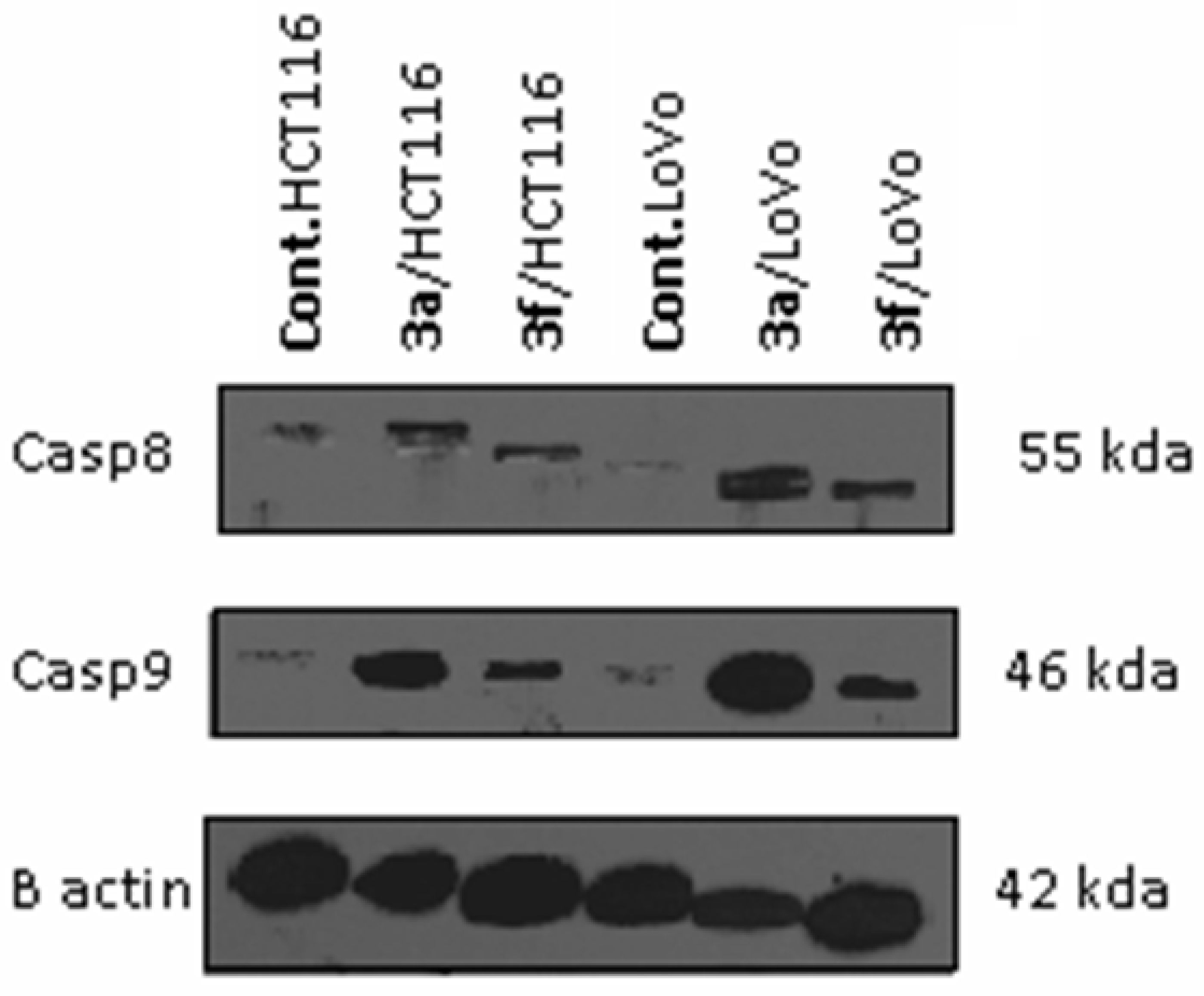 Pharmaceuticals 16 01392 g006
