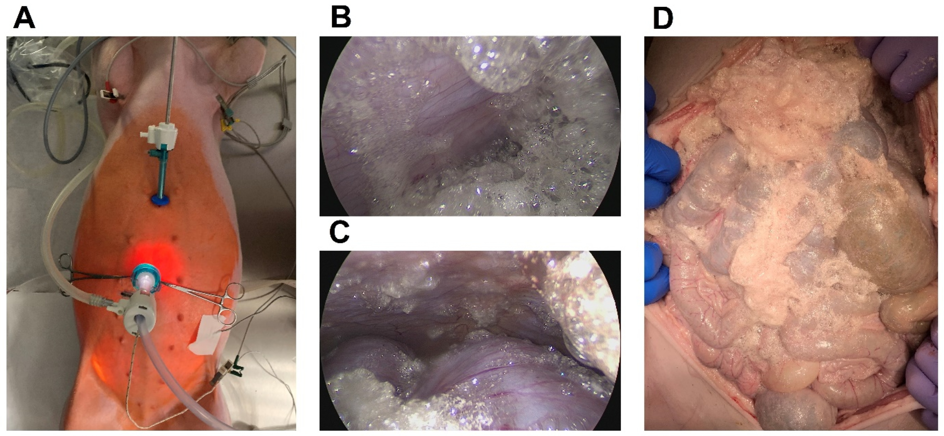 Pharmaceuticals 16 01393 g001