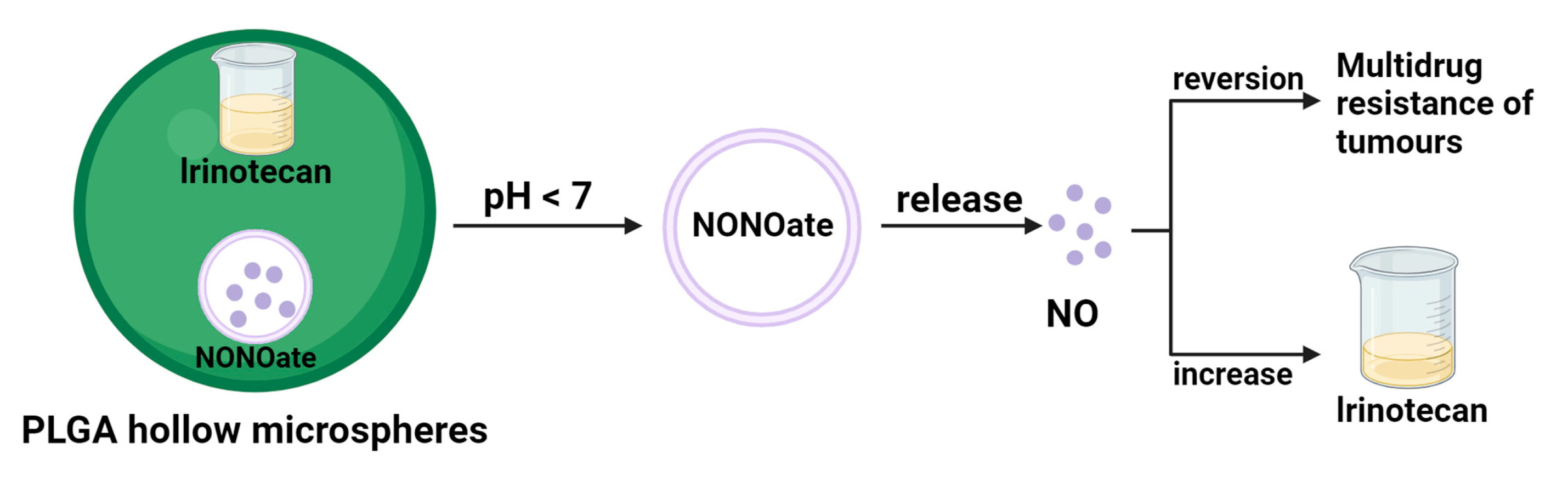 Pharmaceuticals 16 01394 g004