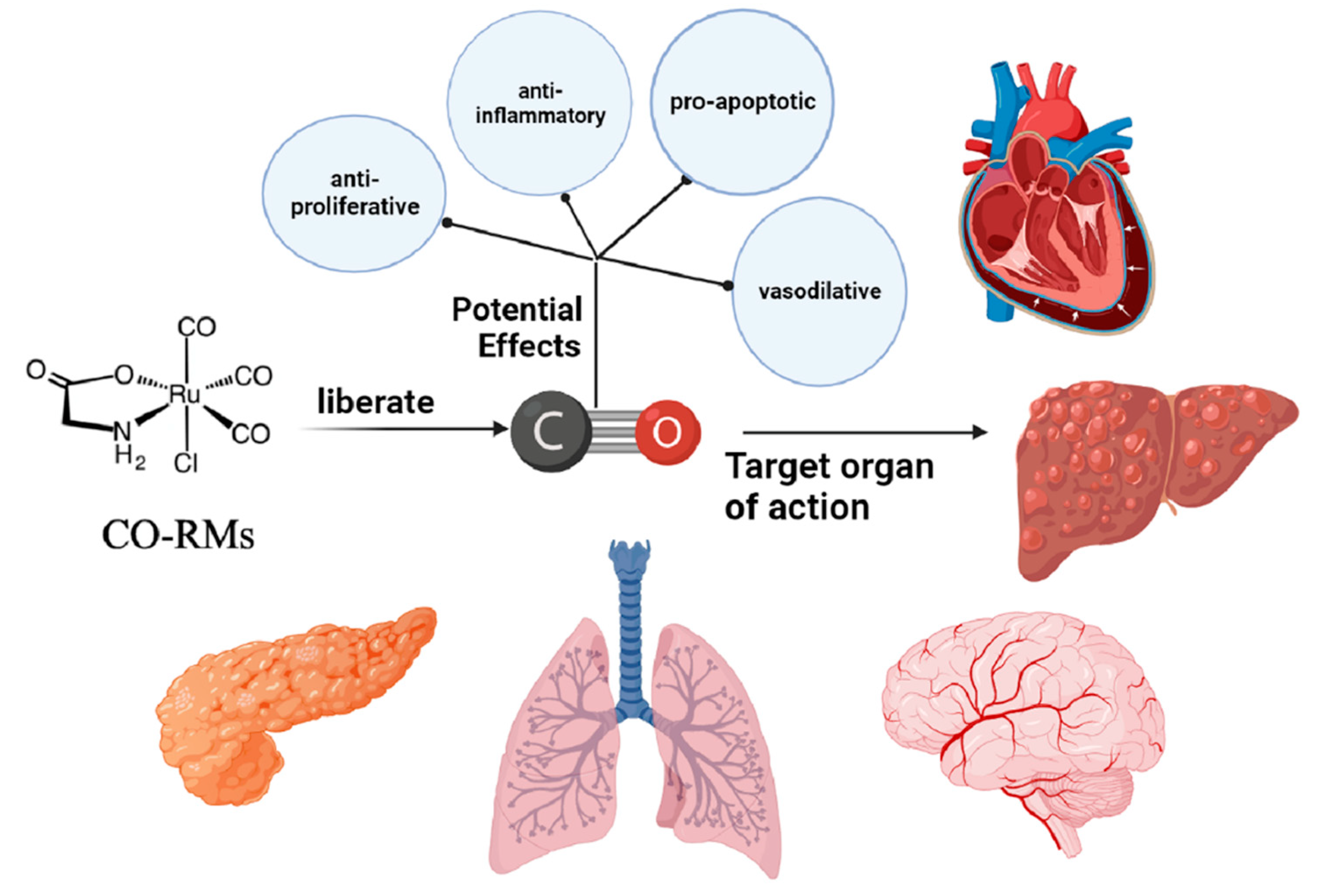 Pharmaceuticals 16 01394 g005