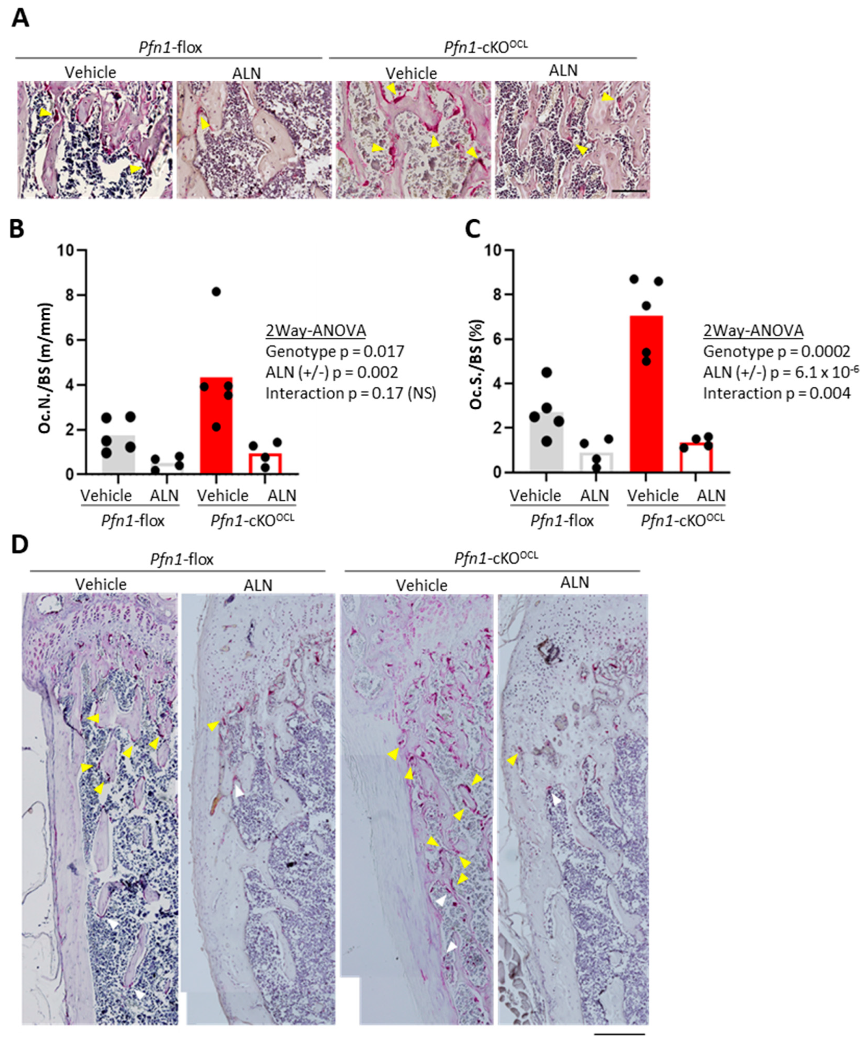 Pharmaceuticals 16 01395 g002 Pharmaceuticals 16 01395 g002