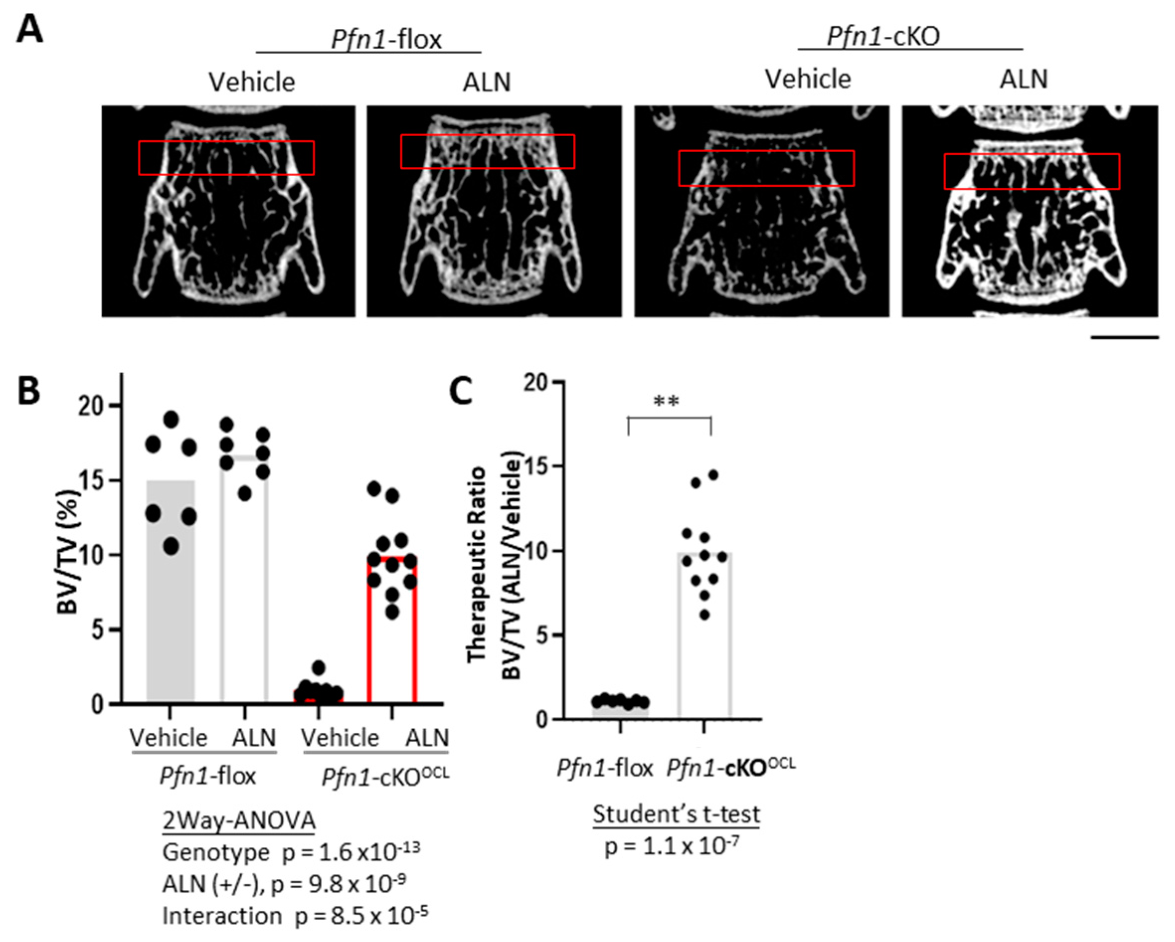 Pharmaceuticals 16 01395 g005 Pharmaceuticals 16 01395 g005