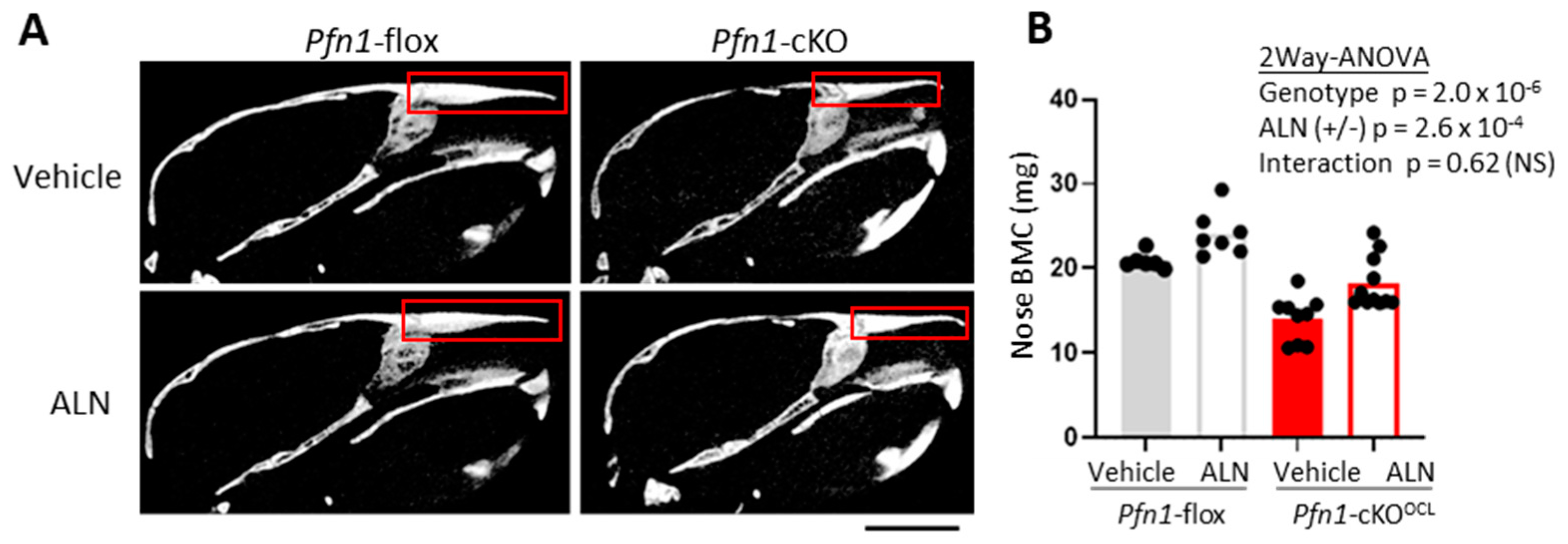 Pharmaceuticals 16 01395 g006 Pharmaceuticals 16 01395 g006