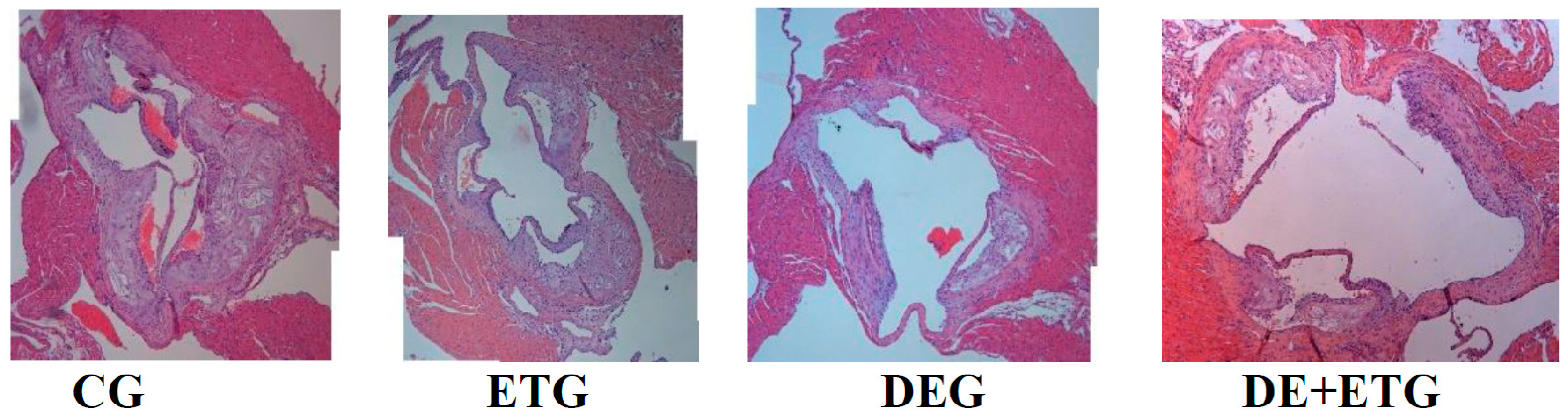 Pharmaceuticals 16 01396 g001