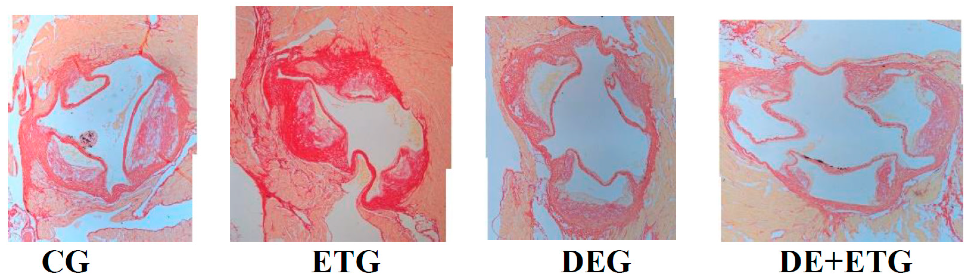 Pharmaceuticals 16 01396 g002