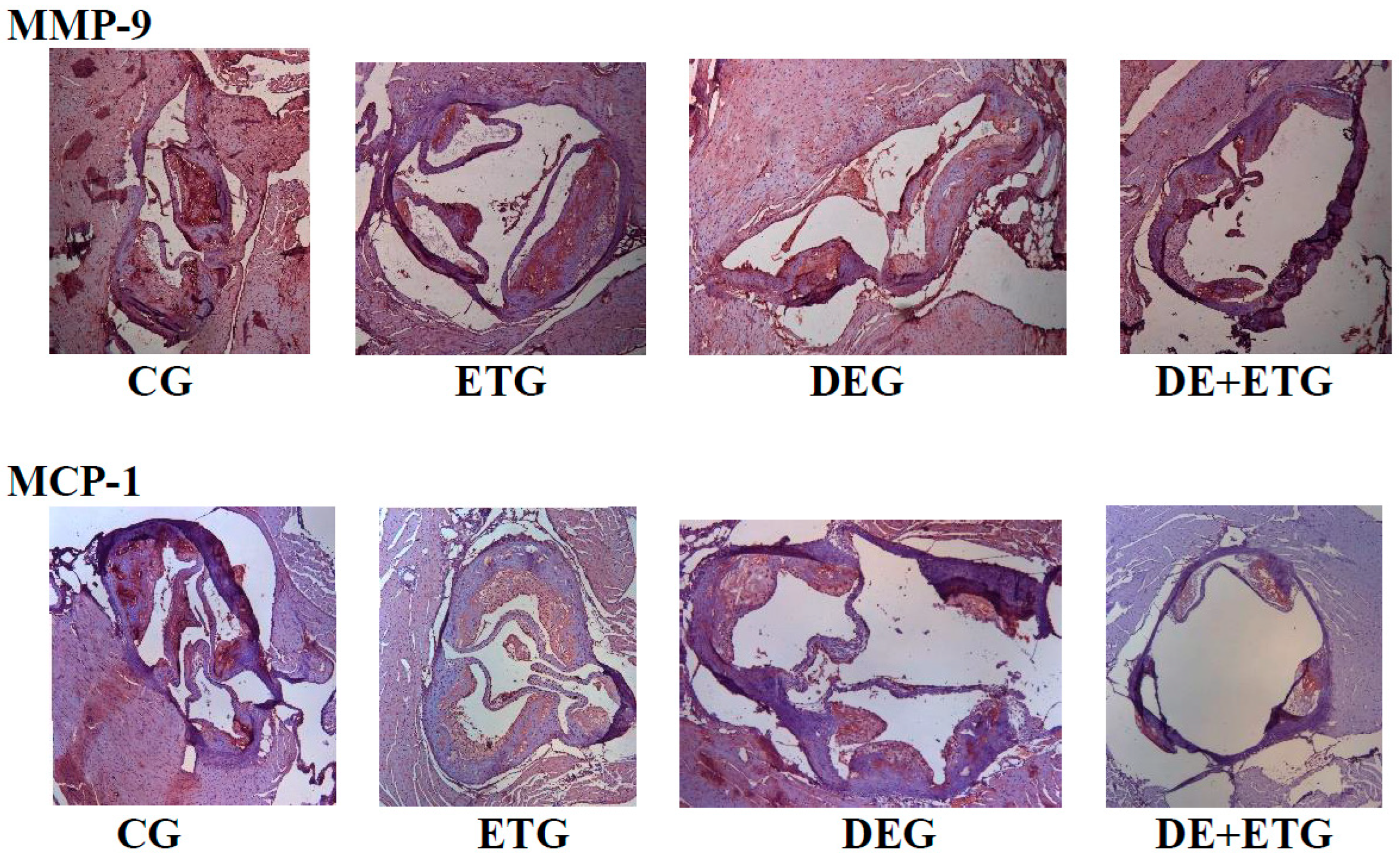 Pharmaceuticals 16 01396 g004