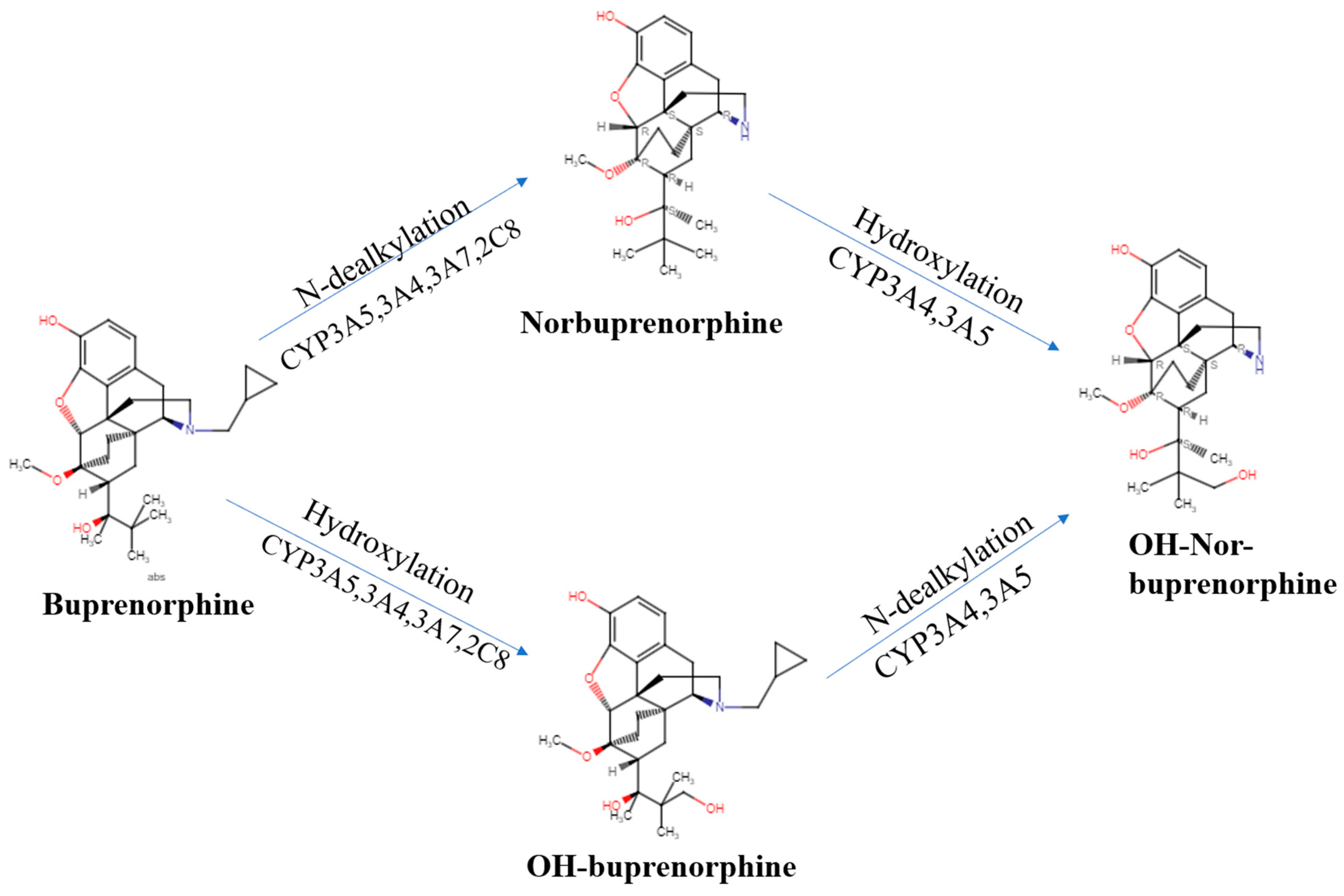 Pharmaceuticals 16 01397 g001