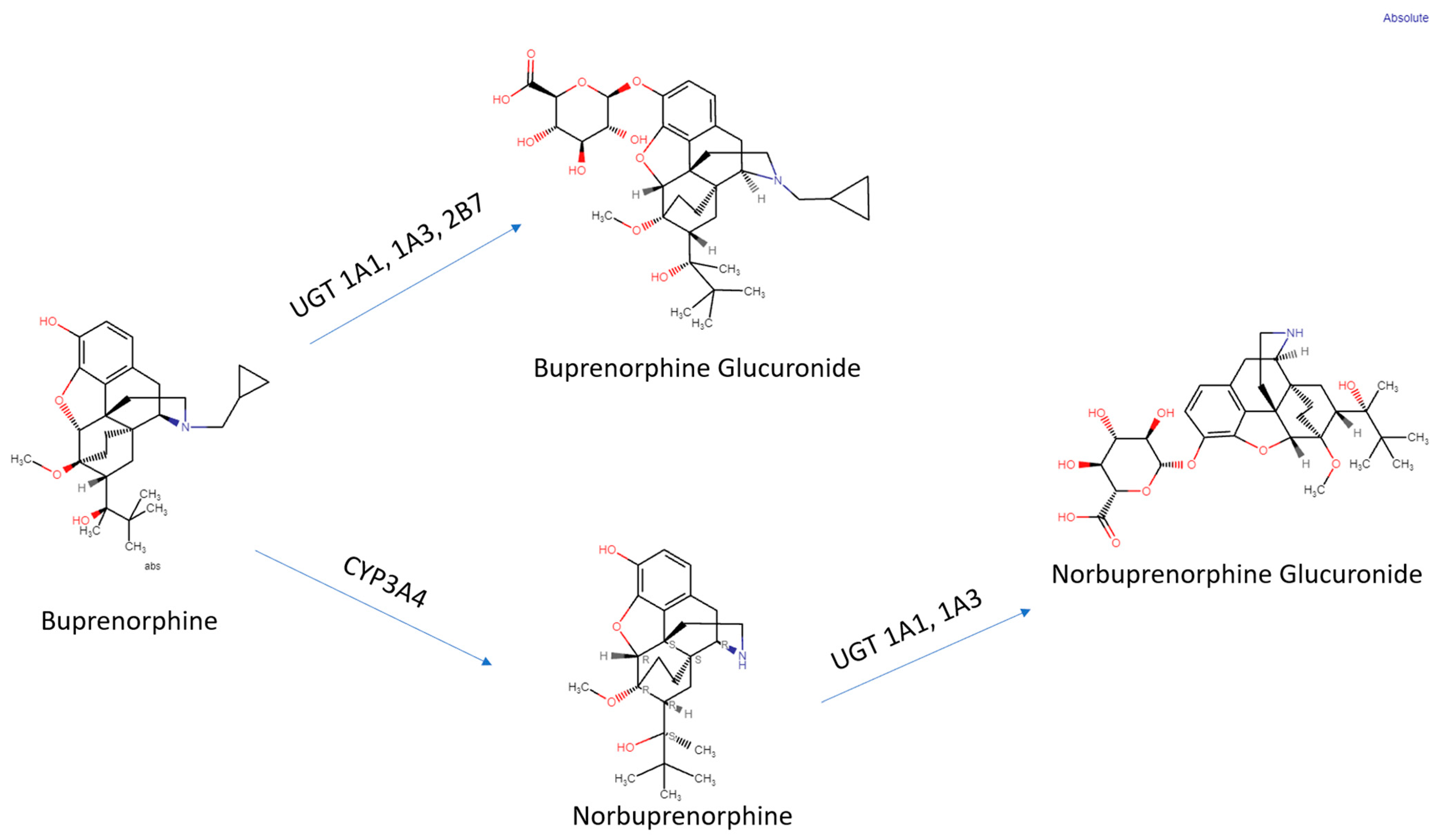 Pharmaceuticals 16 01397 g002