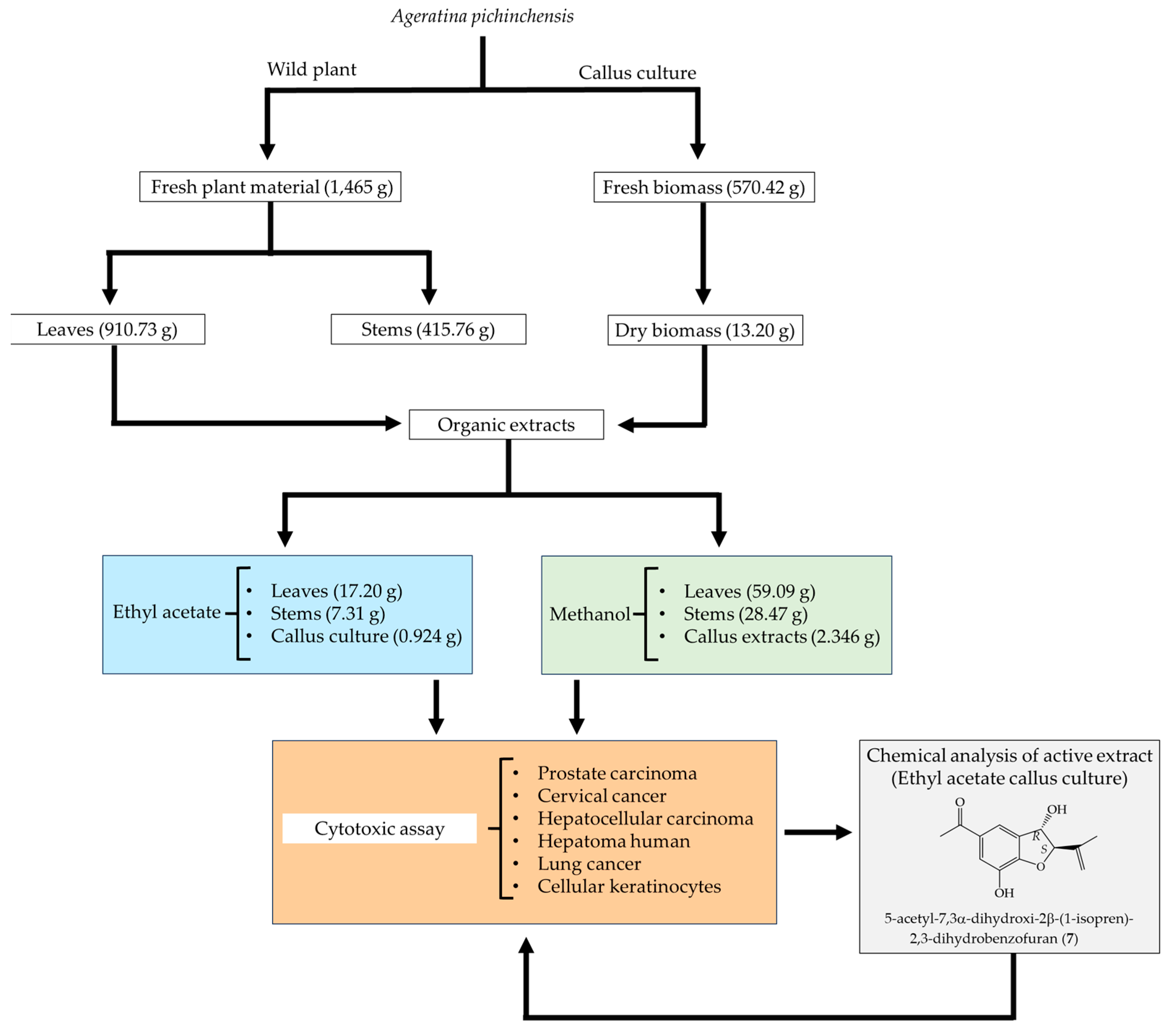 Pharmaceuticals 16 01400 g005