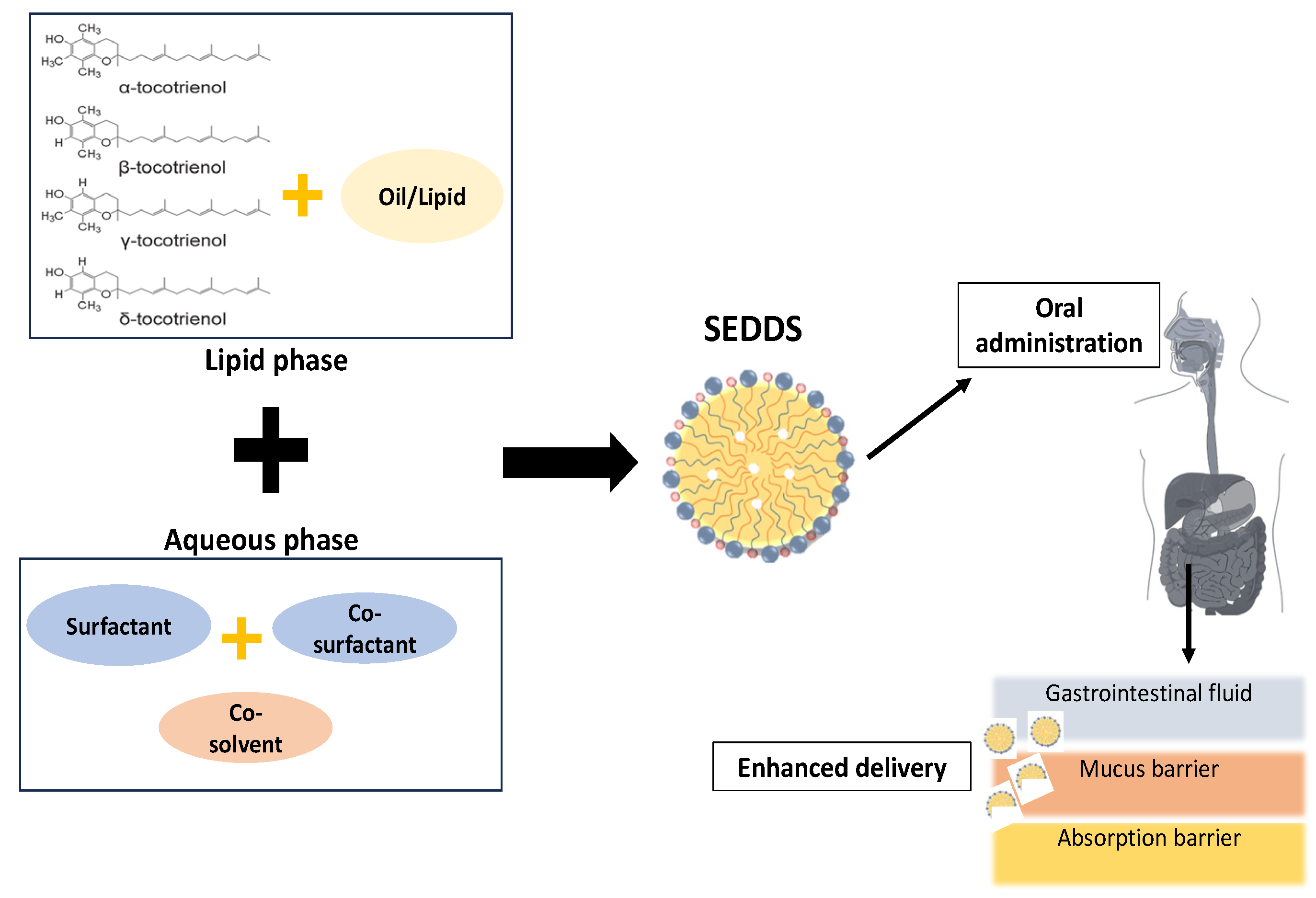 Pharmaceuticals 16 01403 g002
