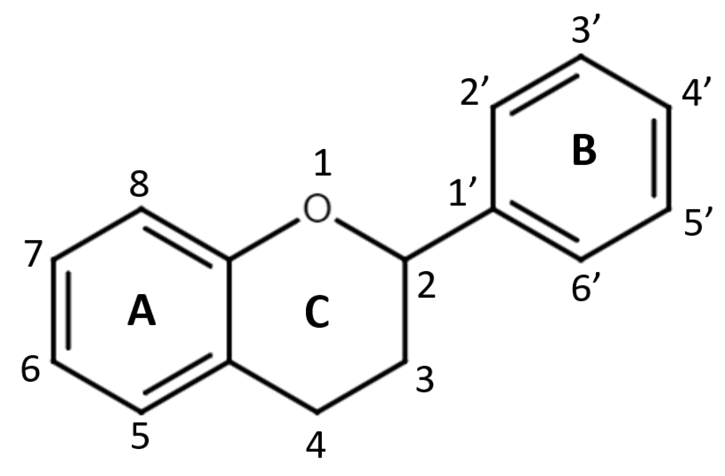 Pharmaceuticals 16 01407 g001