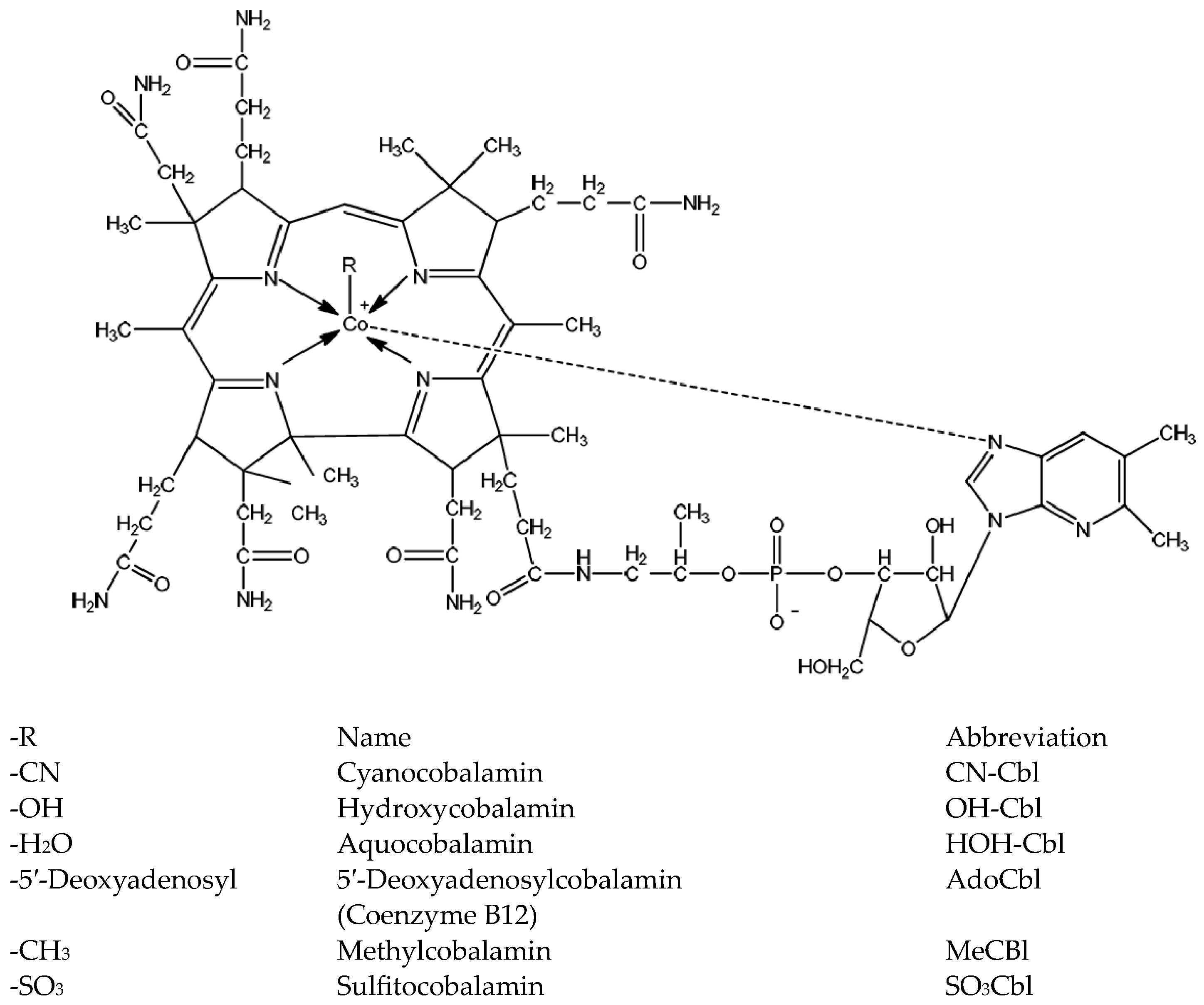 Pharmaceuticals 16 01412 g001