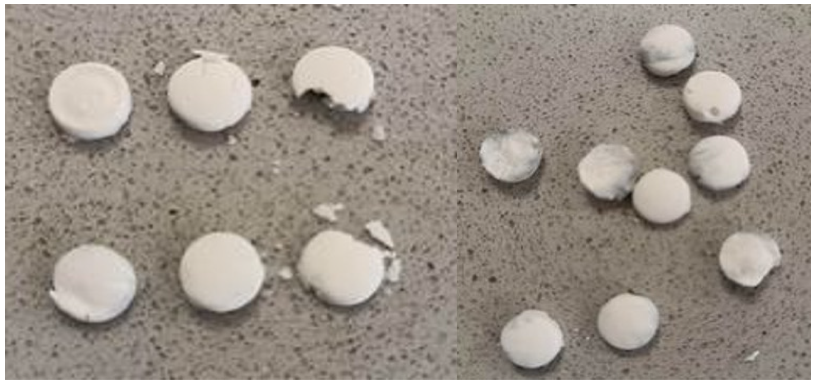 Pharmaceuticals 16 01412 g002