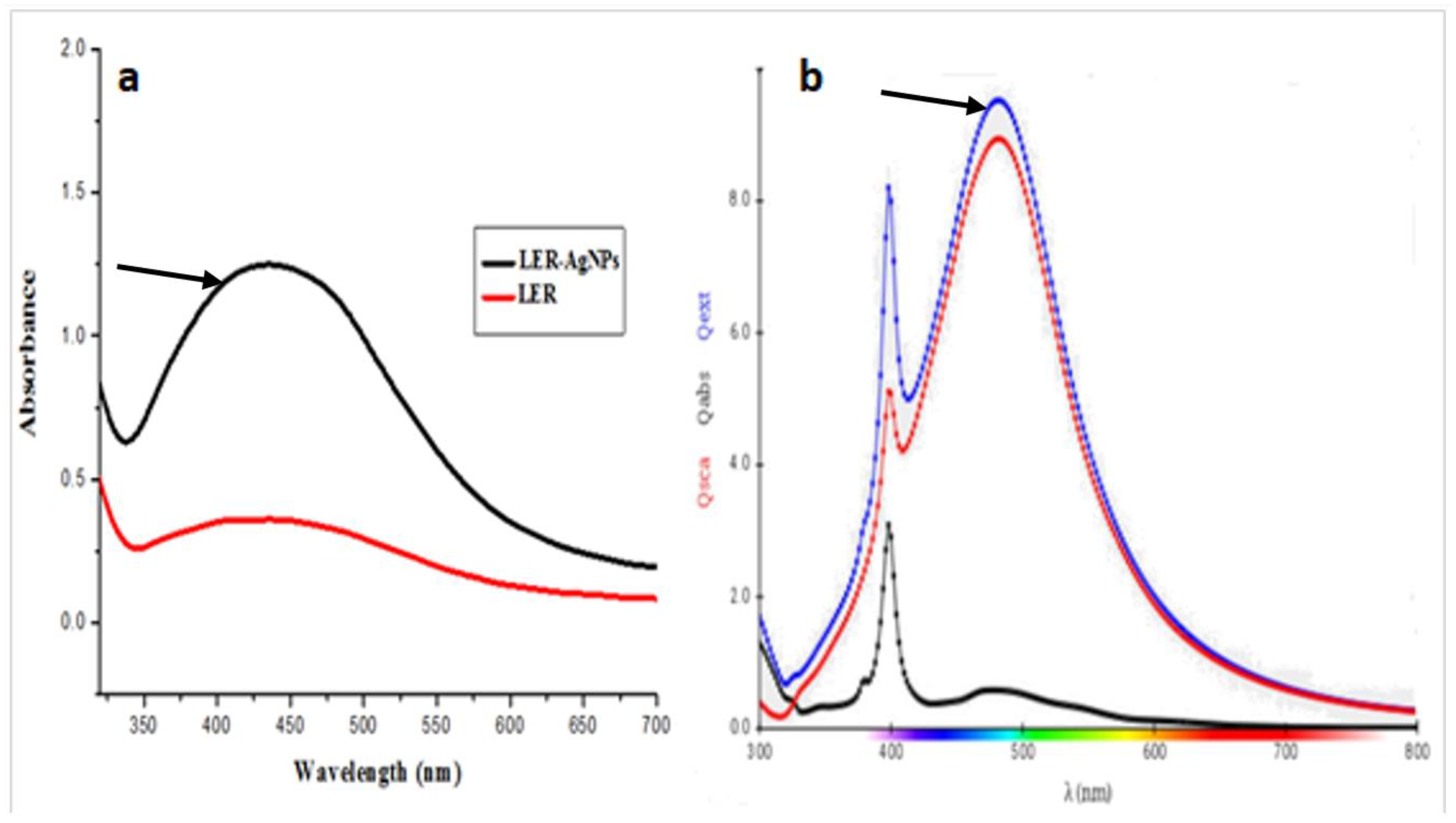 Pharmaceuticals 16 01413 g001
