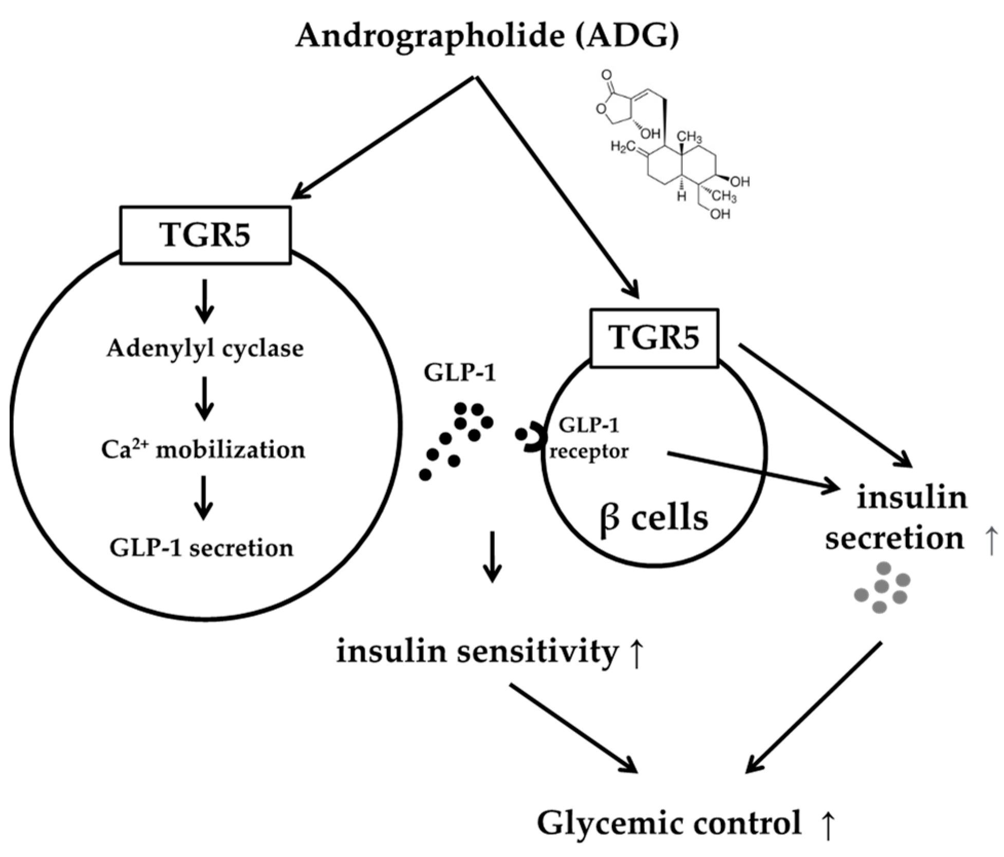 Pharmaceuticals 16 01417 g006