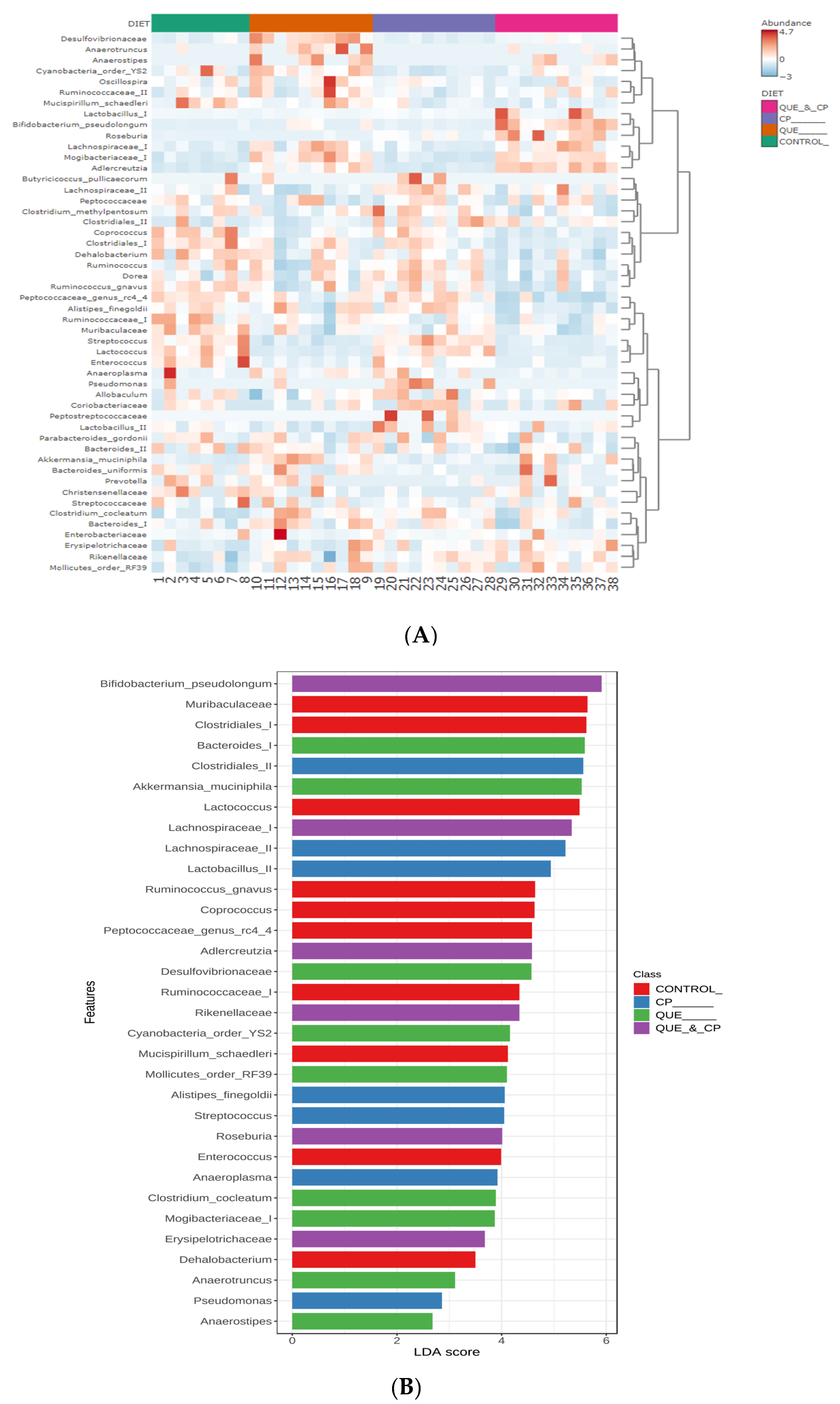 Pharmaceuticals 16 01422 g004